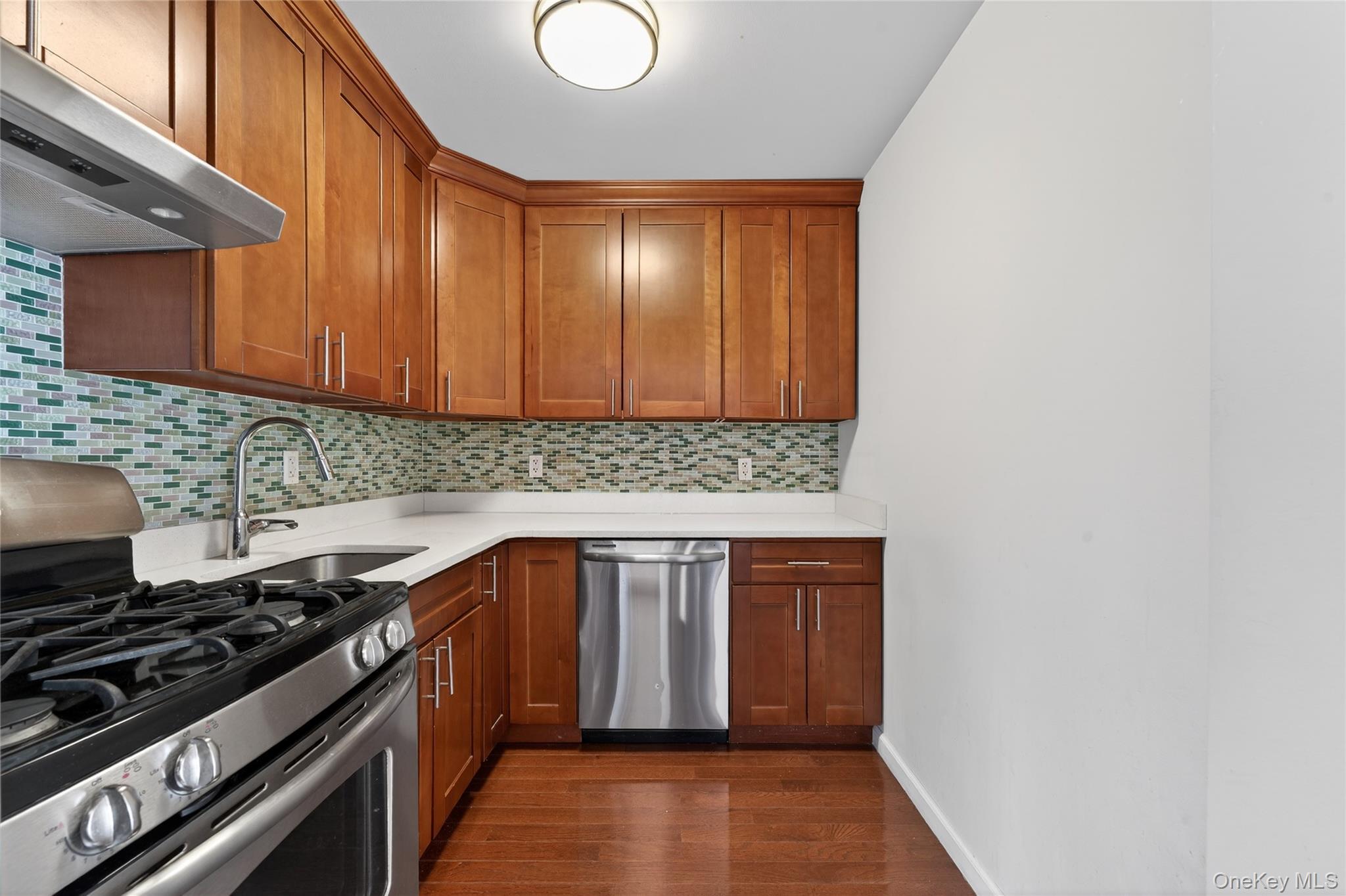 Condo Northern  Queens, NY 11354, MLS-954892-11