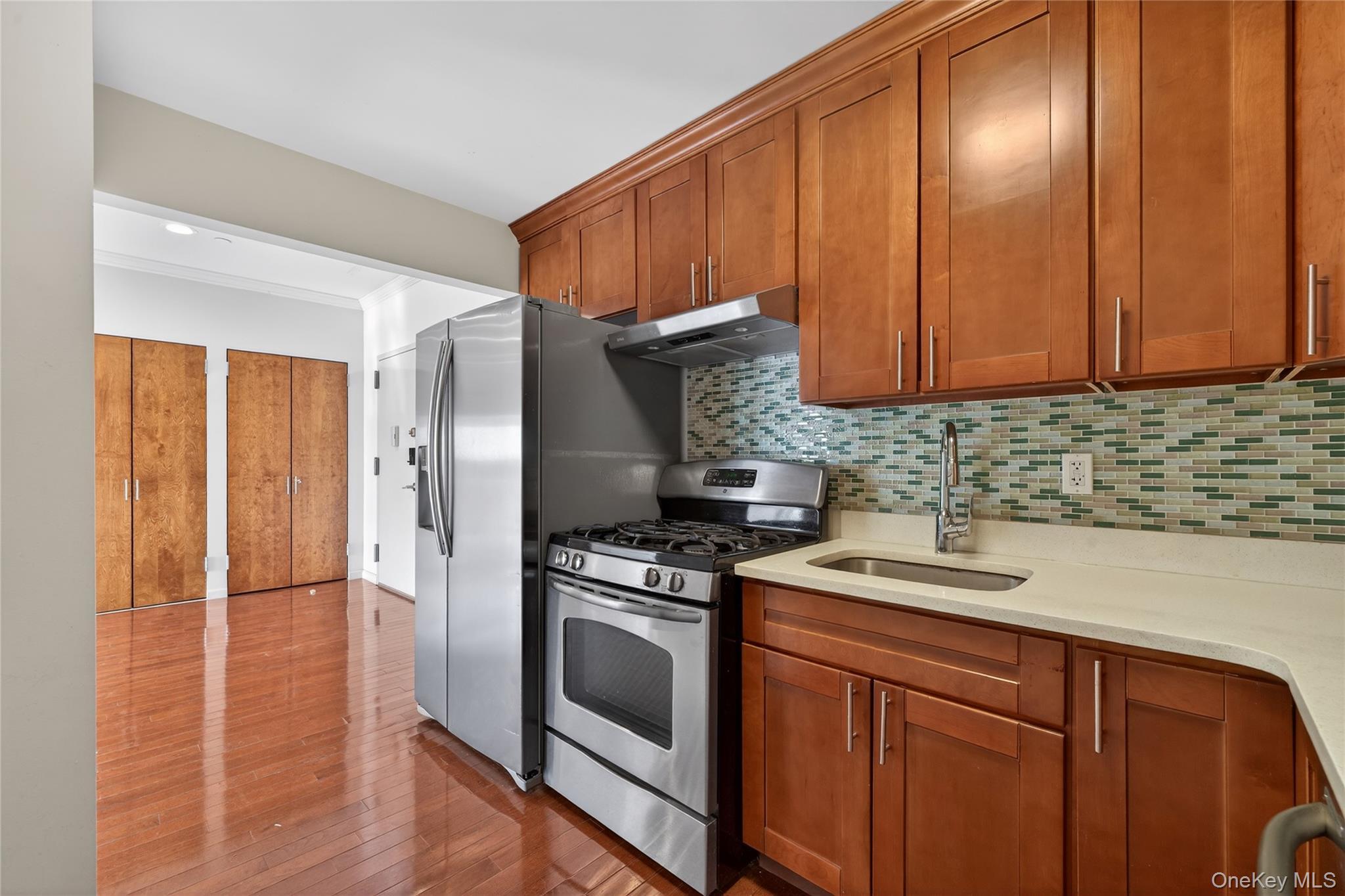 Condo Northern  Queens, NY 11354, MLS-954892-13