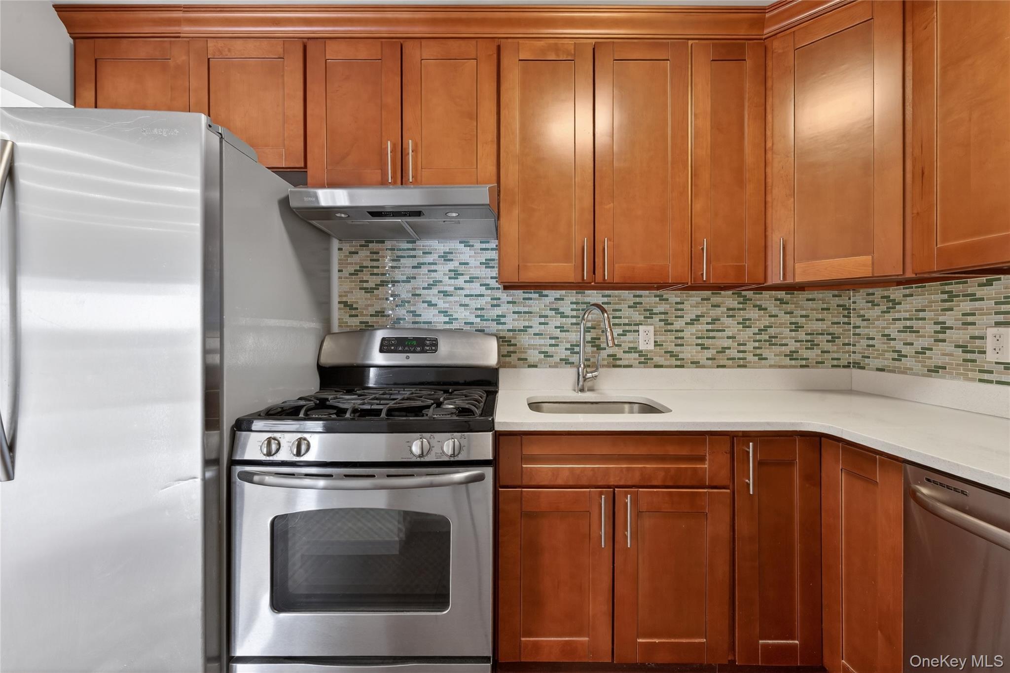 Condo Northern  Queens, NY 11354, MLS-954892-14