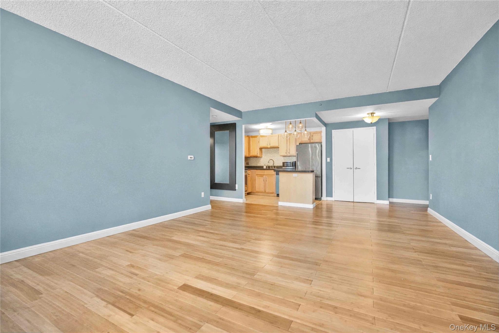 Condo 3rd  Bronx, NY 10451, MLS-954942-11