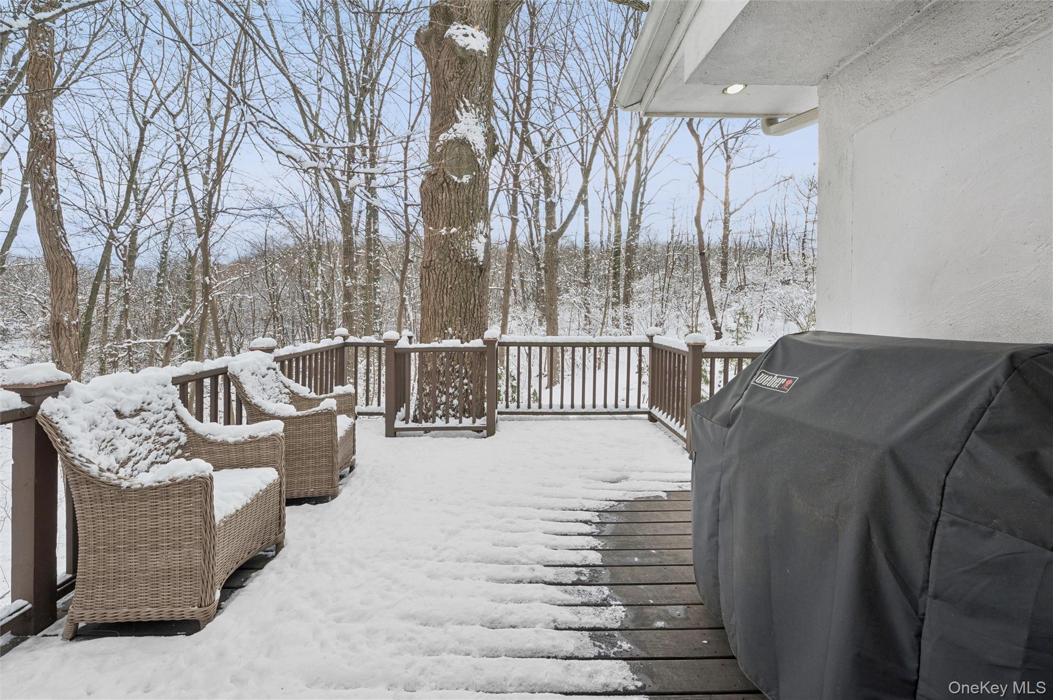 Single Family 254th  Bronx, NY 10471, MLS-954990-11