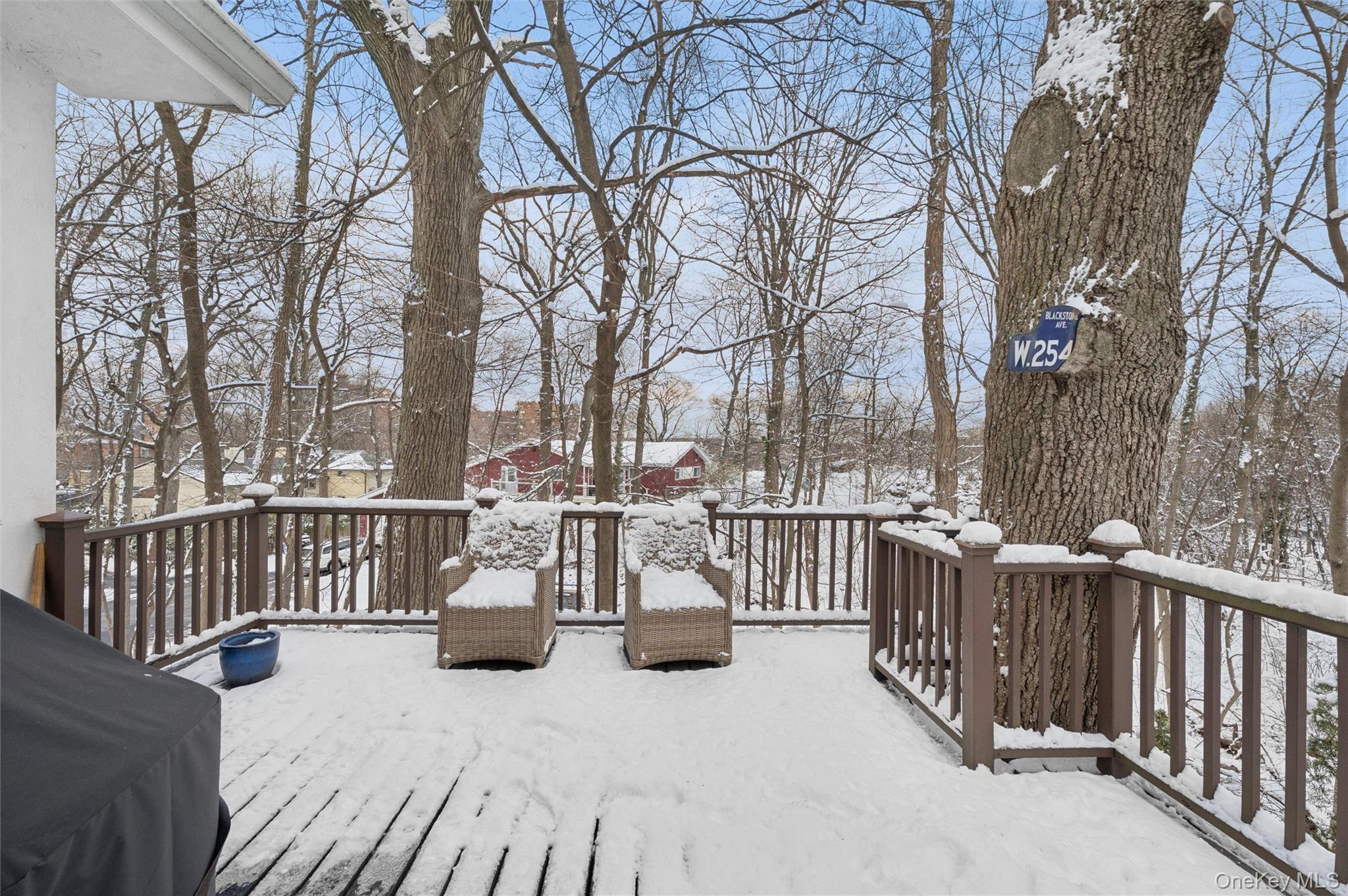 Single Family 254th  Bronx, NY 10471, MLS-954990-8