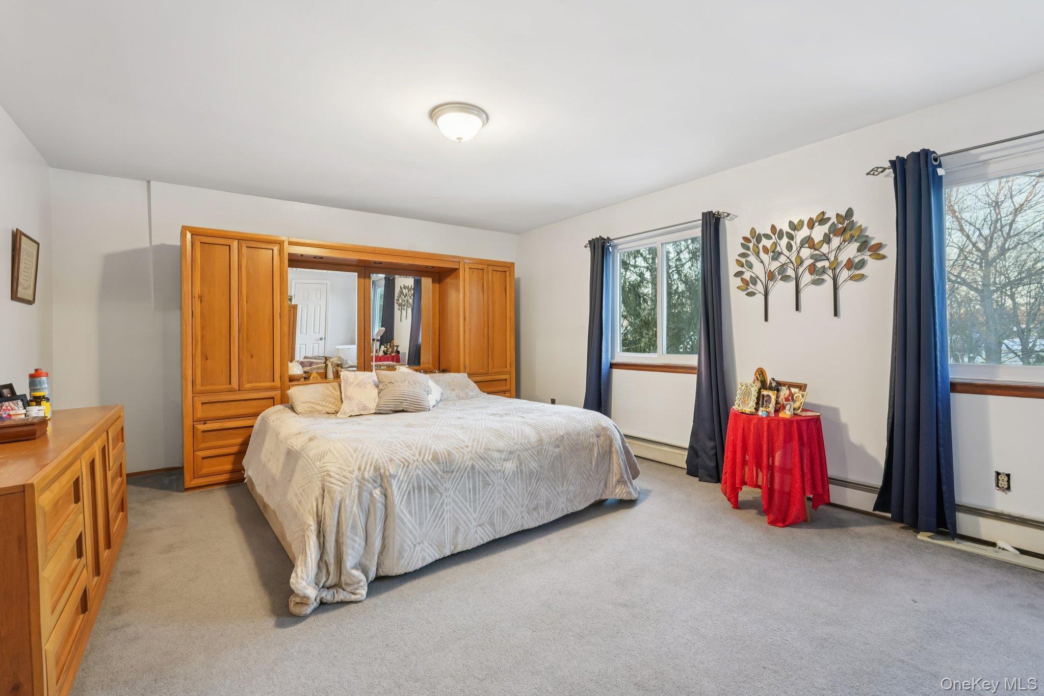 Single Family Lake Region Orange County, NY 10950, MLS-955186-41