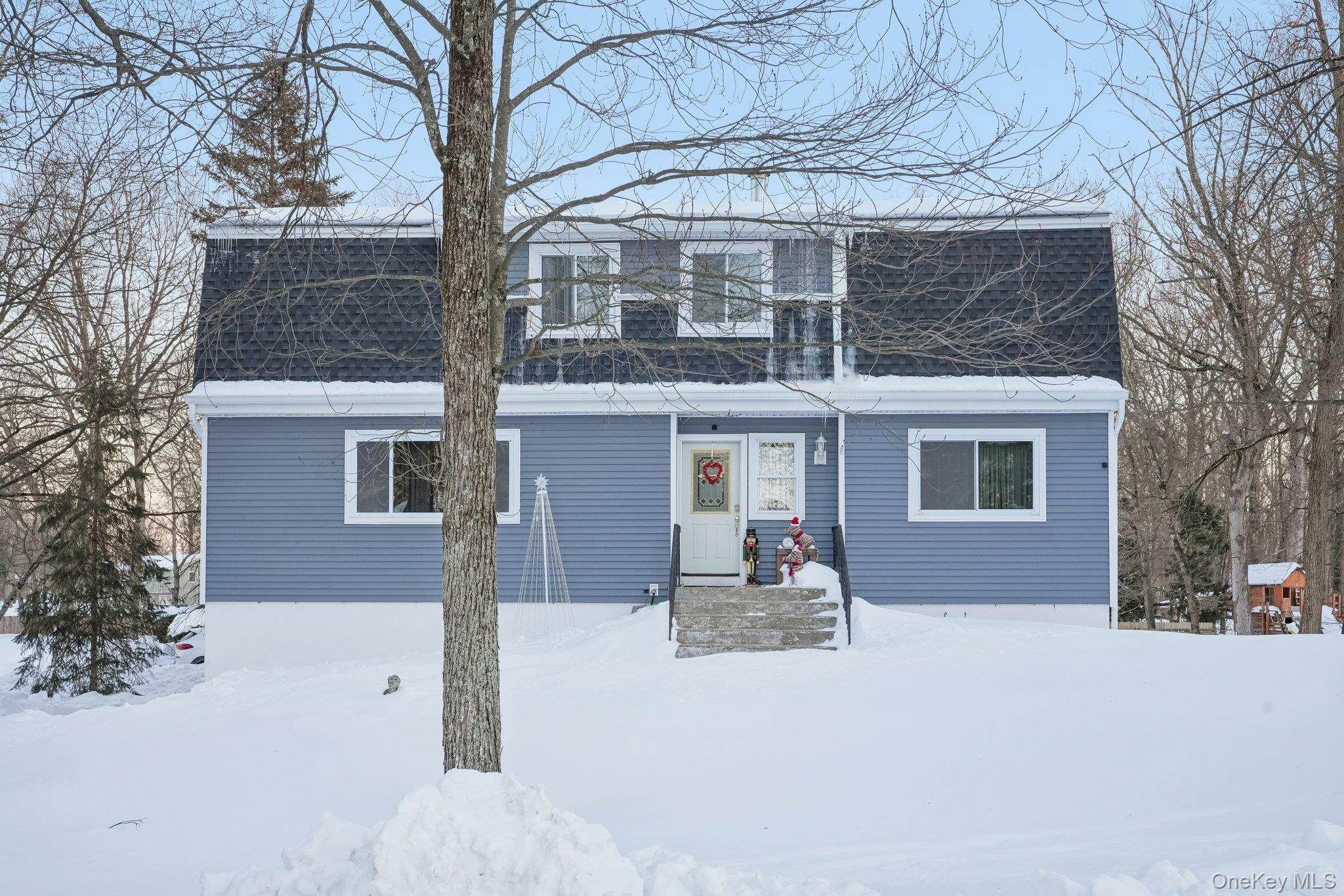 Single Family Lake Region Orange County, NY 10950, MLS-955186-9