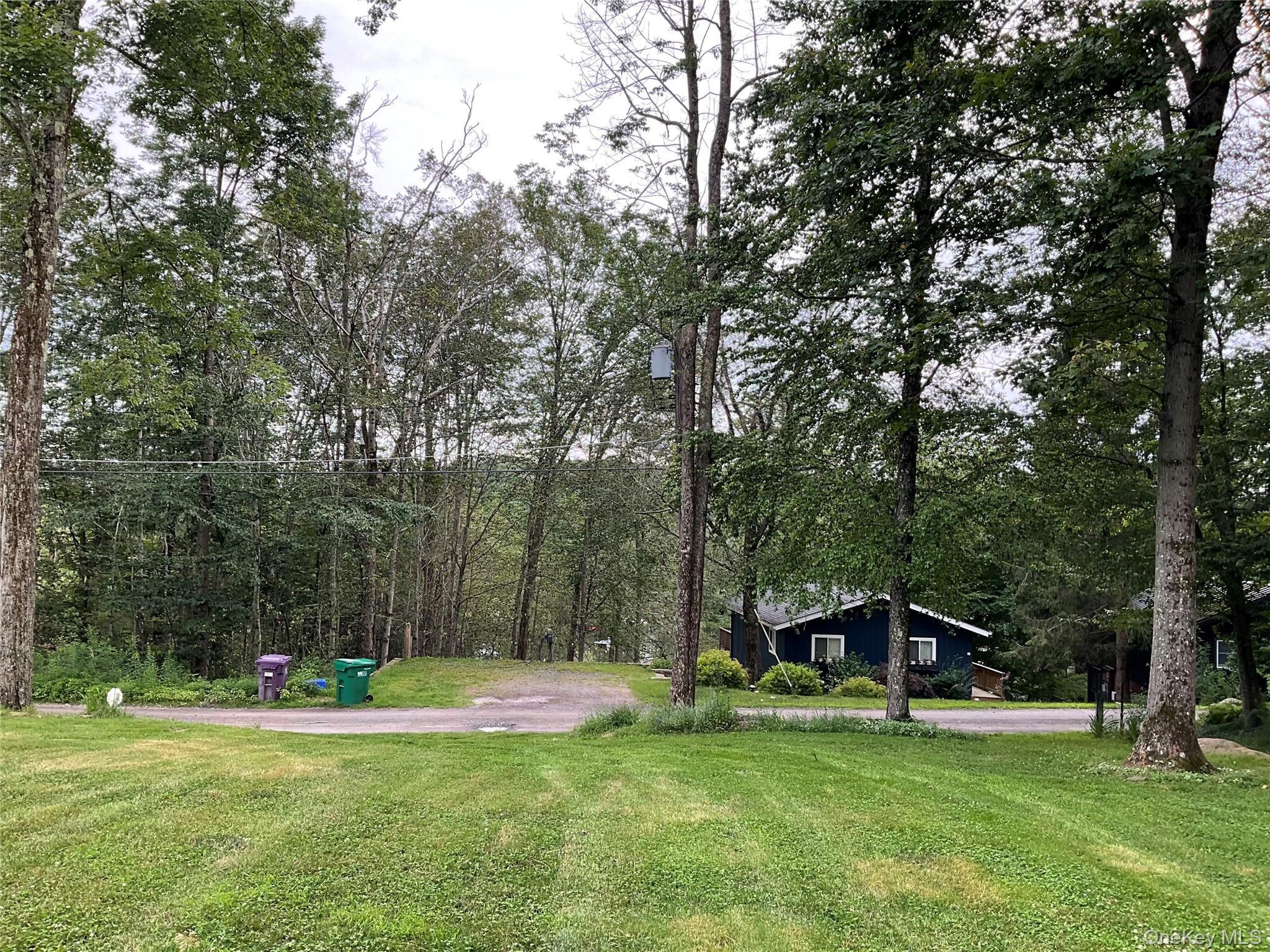 Single Family Mohawk  Sullivan County, NY 12734, MLS-955211-26