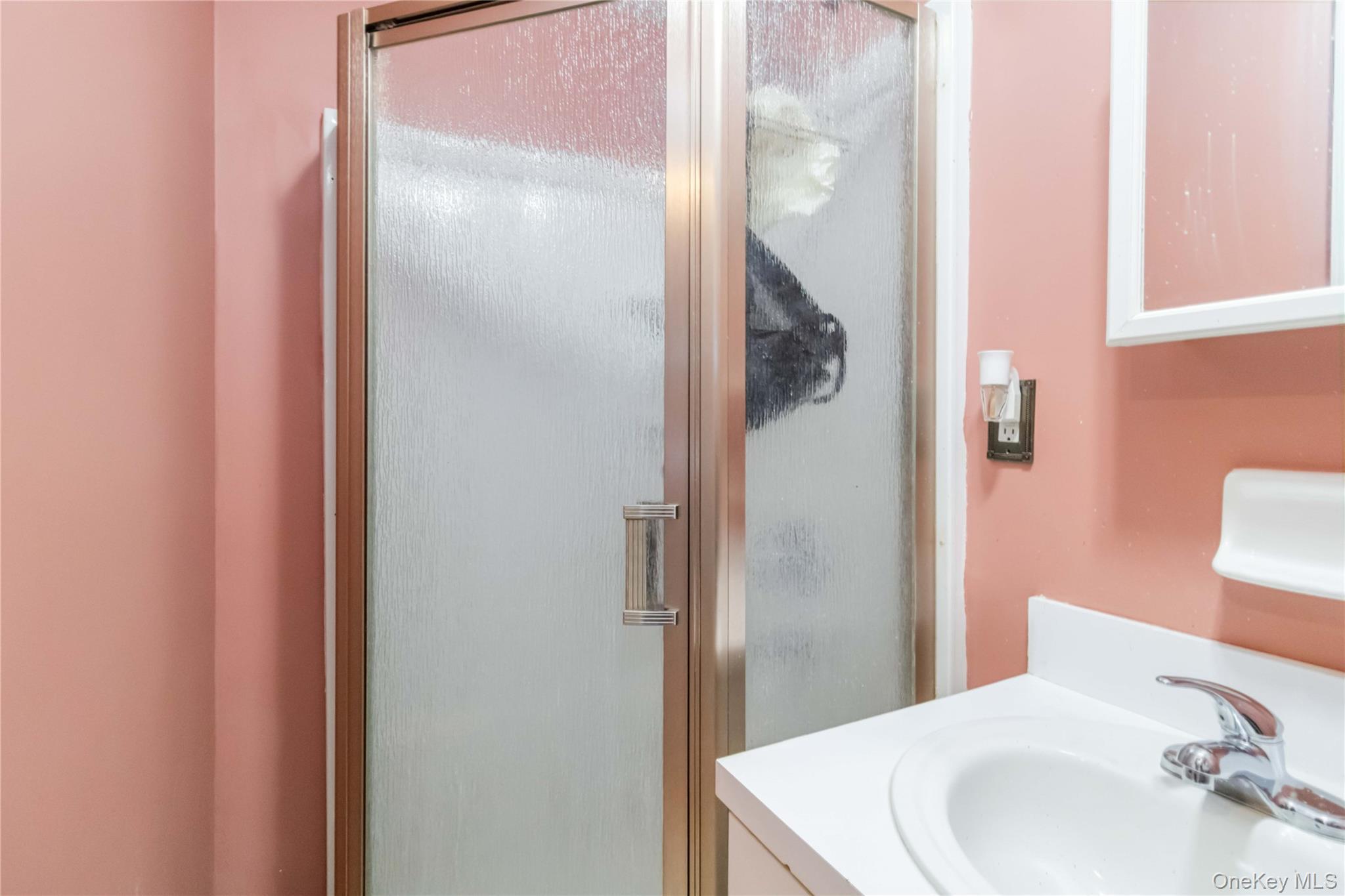 Single Family South  Staten Island, NY 10310, MLS-955250-23