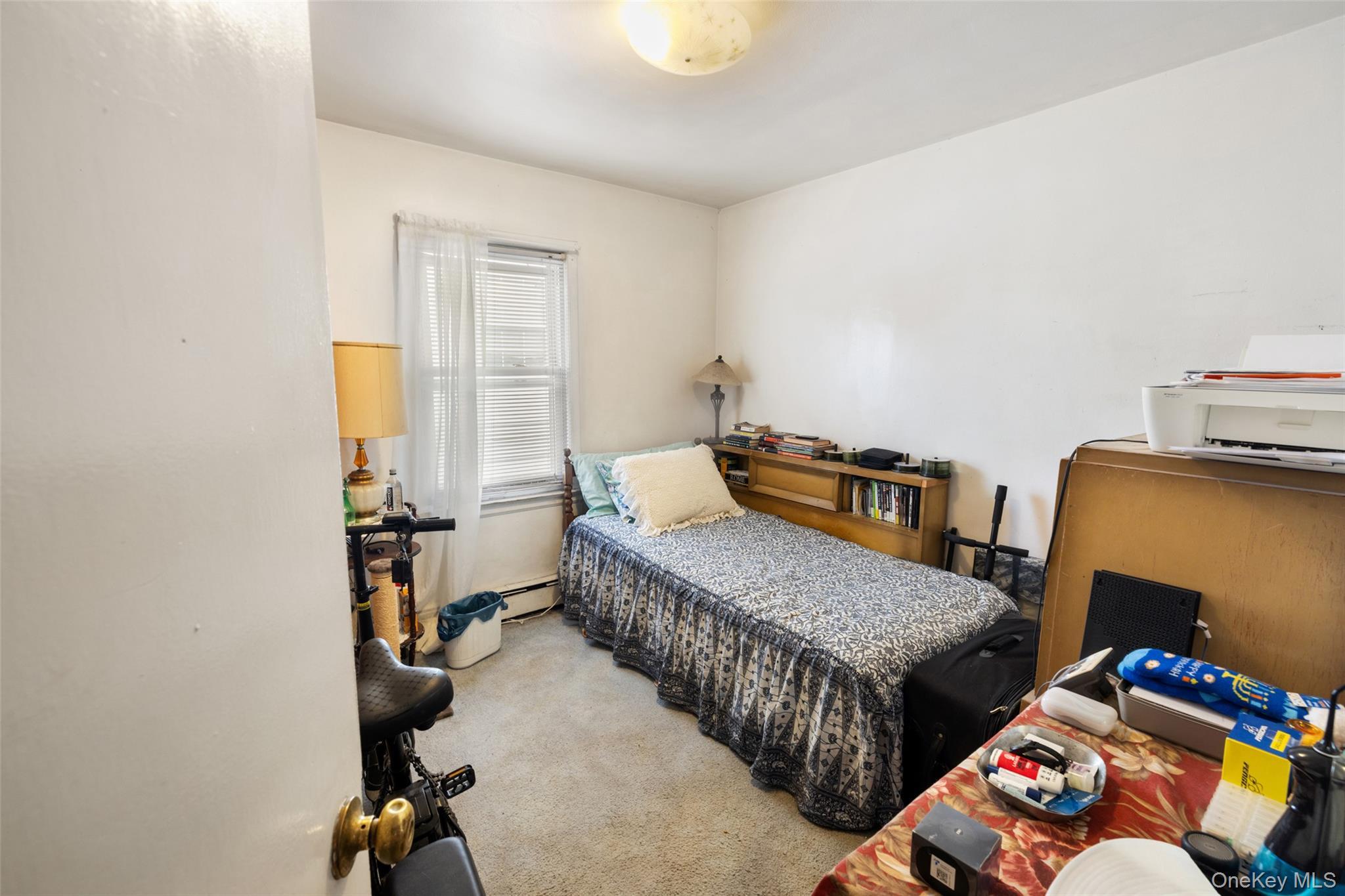 Single Family 249th  Queens, NY 11422, MLS-955342-31