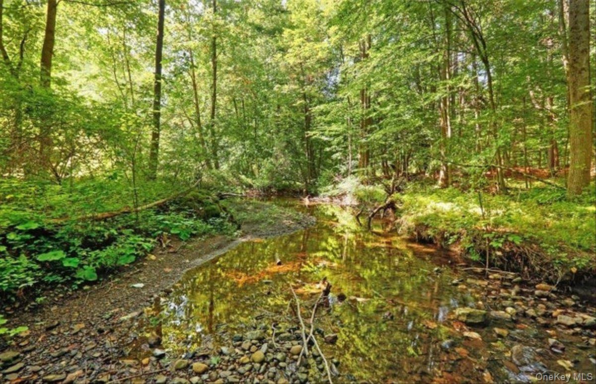 Single Family Scheller Park  Greene County, NY 12124, MLS-955355-18