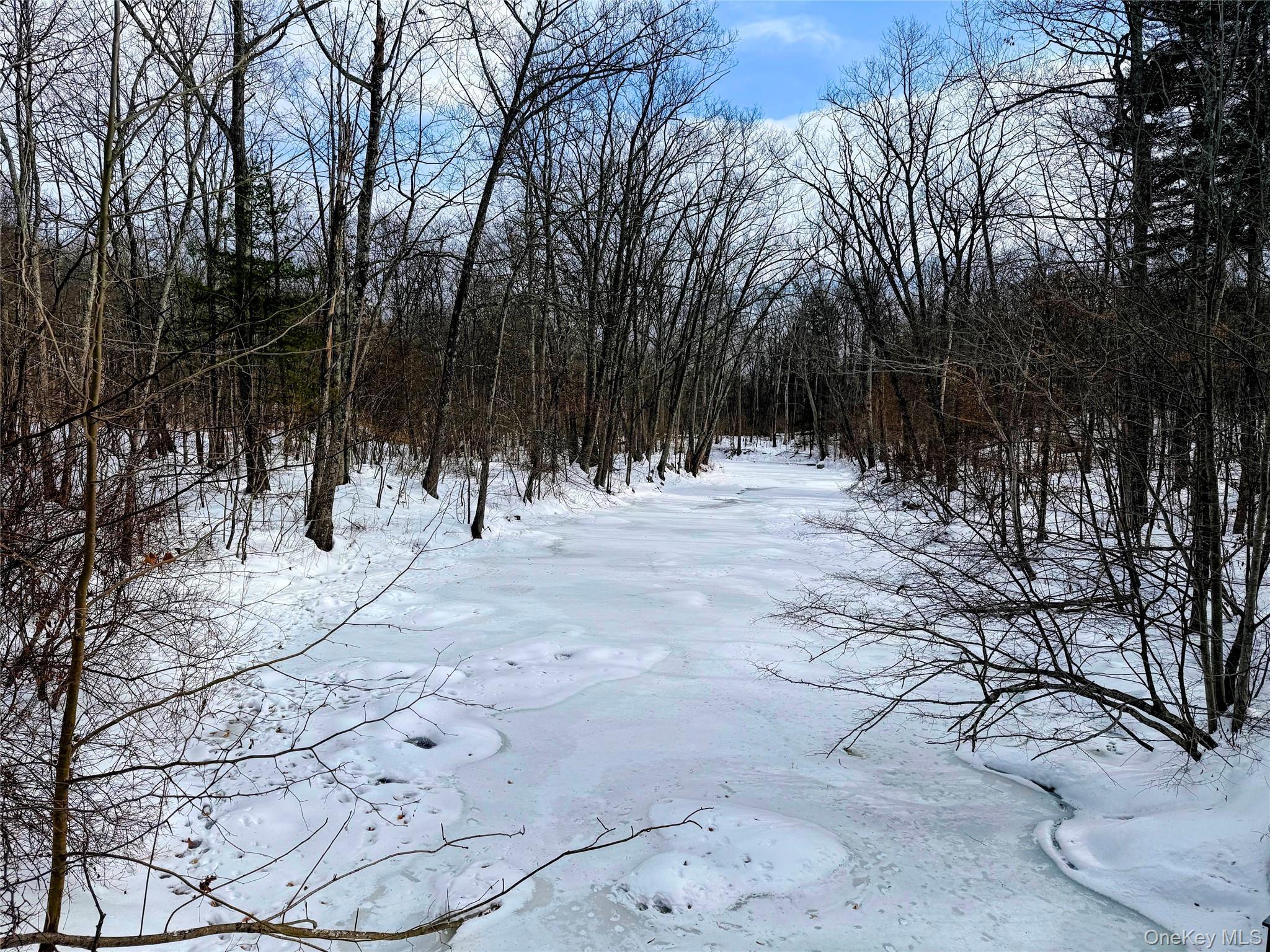 Single Family Hoagerburgh  Ulster County, NY 12566, MLS-955379-18