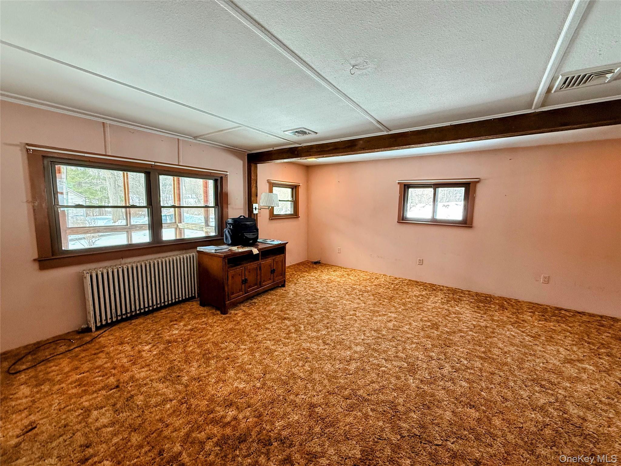 Single Family Hoagerburgh  Ulster County, NY 12566, MLS-955379-6