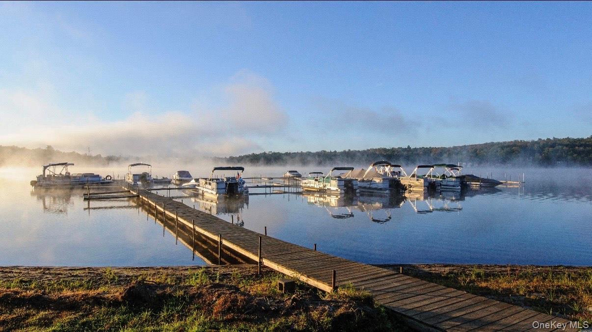 Single Family Donenfeld  Sullivan County, NY 12720, MLS-955395-4