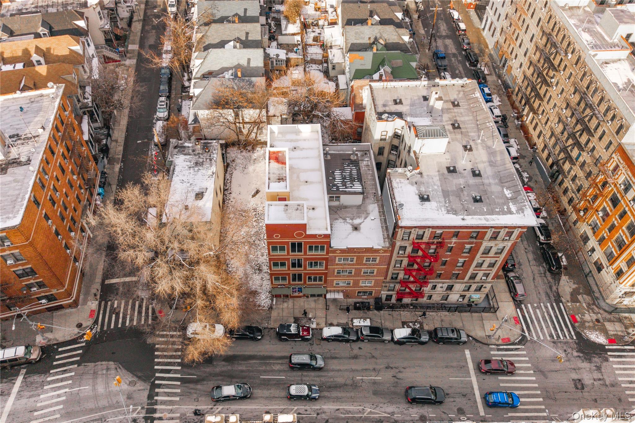 Land 188th  Bronx, NY 10458, MLS-955539-5