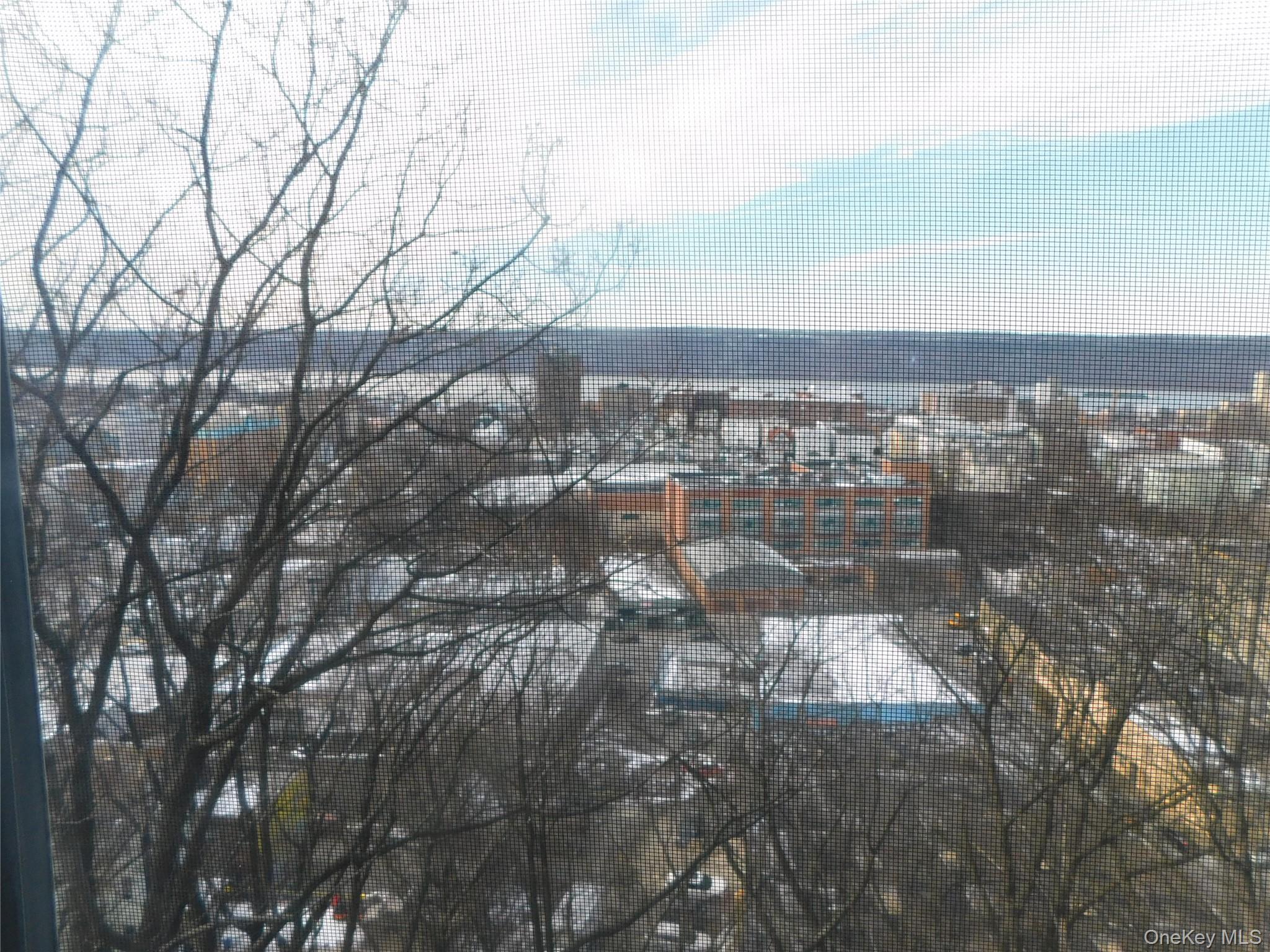 Coop Alta  Westchester County, NY 10705, MLS-955572-8