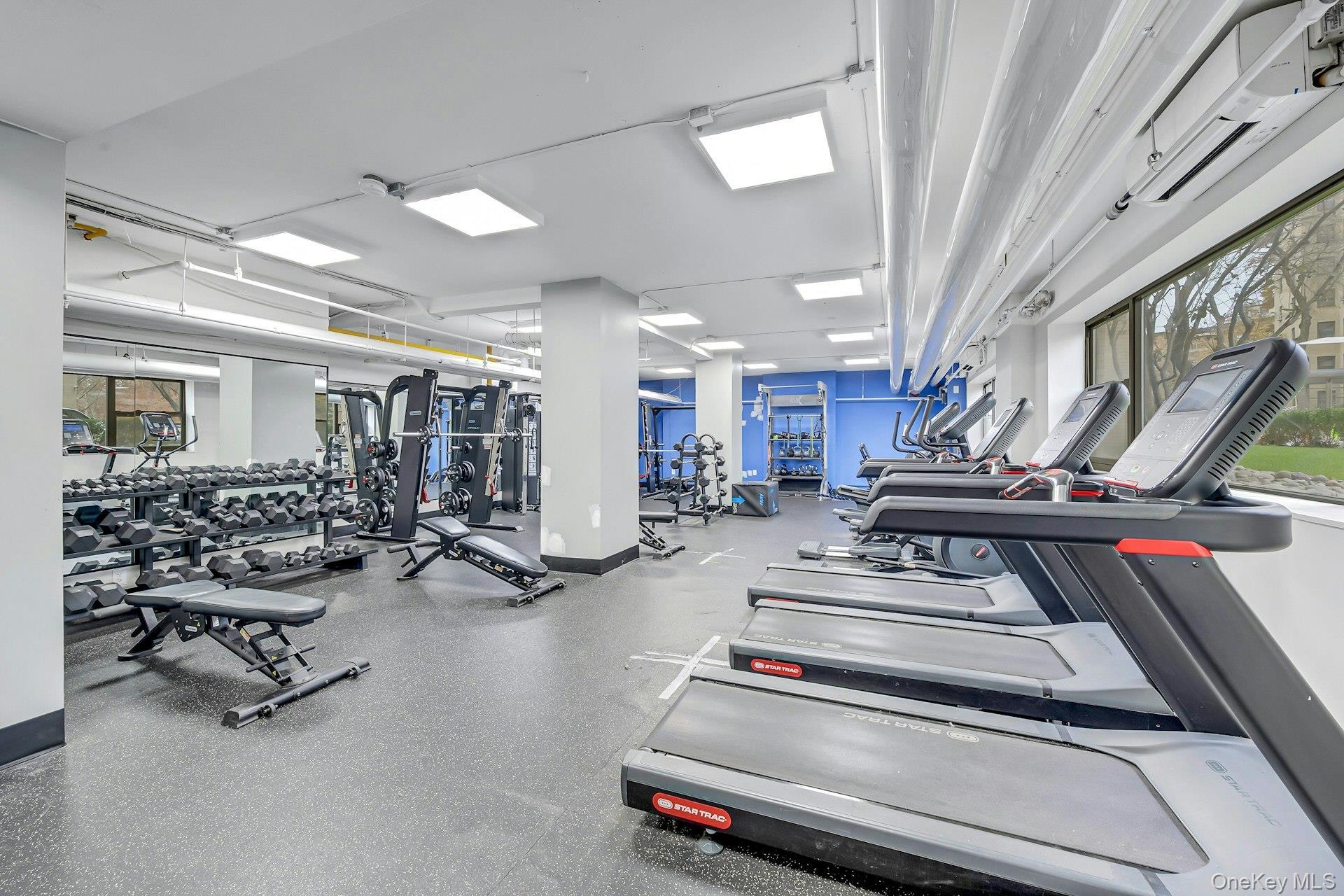 Coop Fordham Hill  Bronx, NY 10468, MLS-955609-22