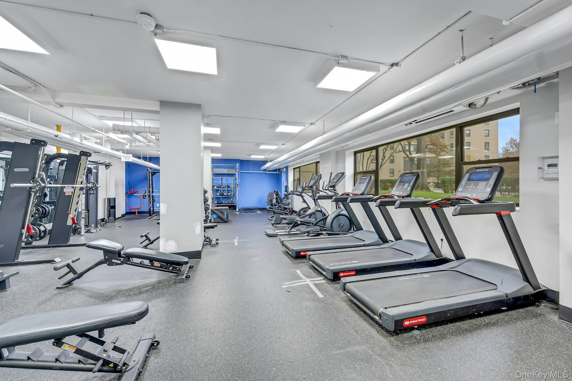 Coop Fordham Hill  Bronx, NY 10468, MLS-955609-23