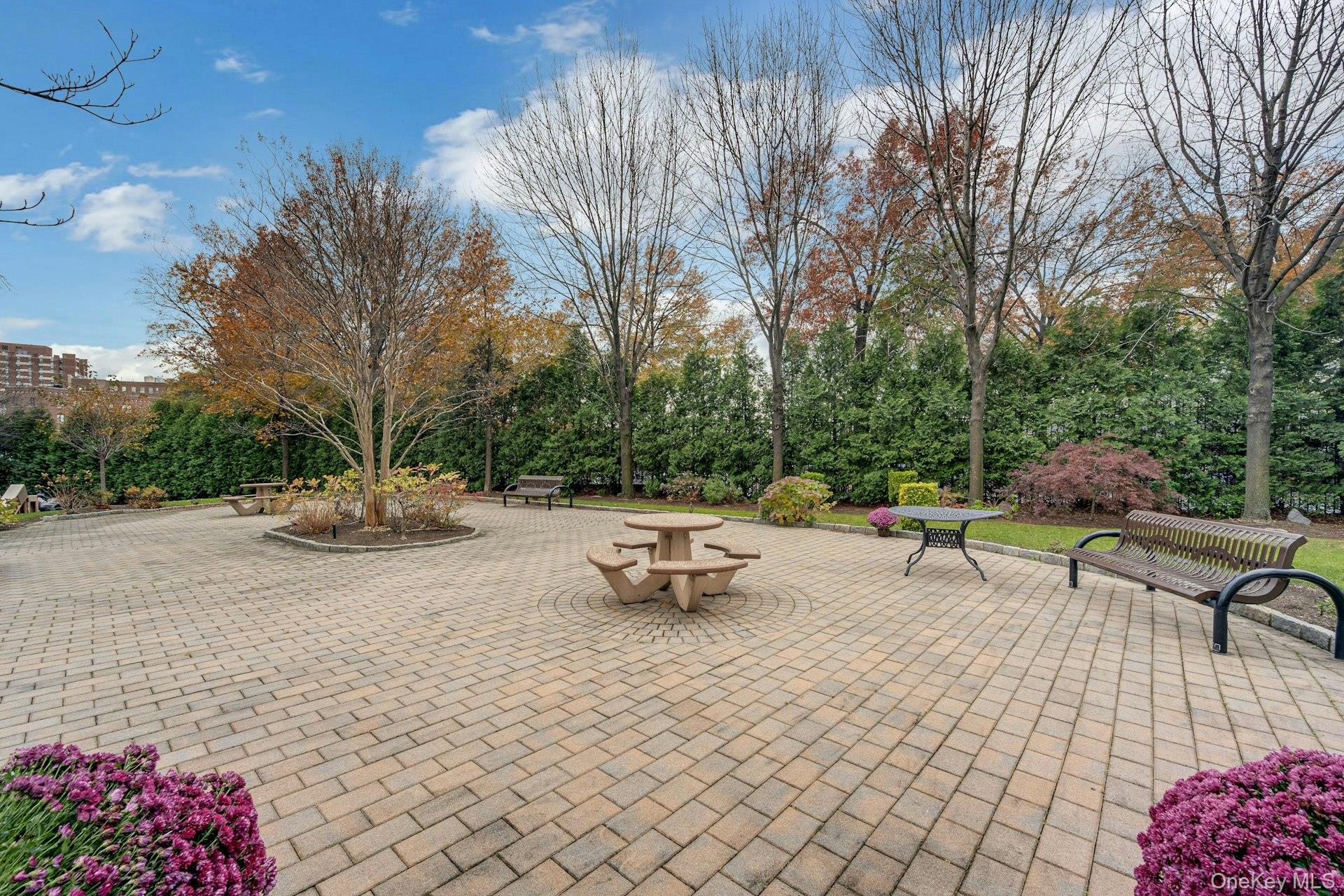 Coop Fordham Hill  Bronx, NY 10468, MLS-955609-28