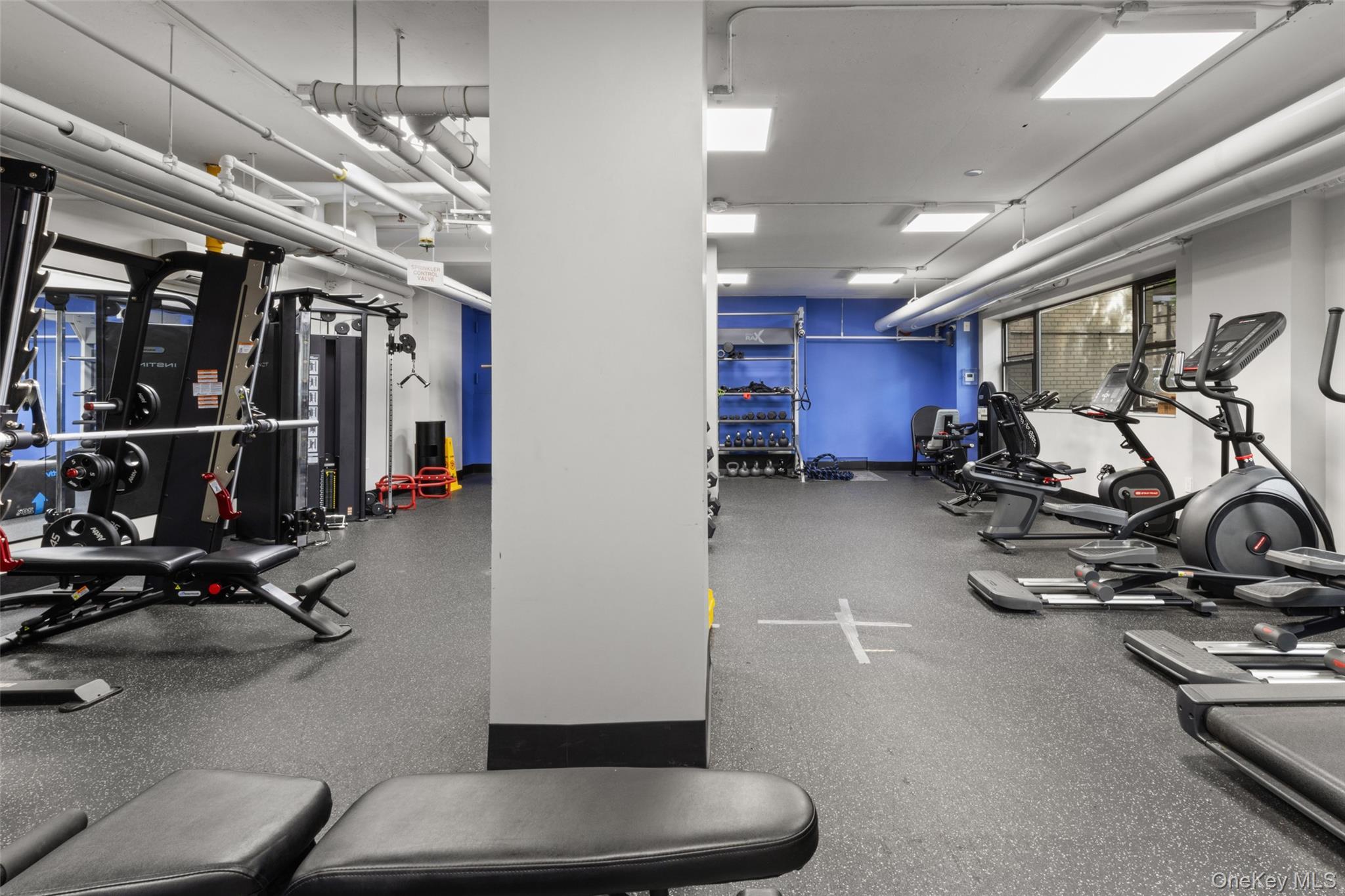 Coop Fordham Hill  Bronx, NY 10468, MLS-955609-41