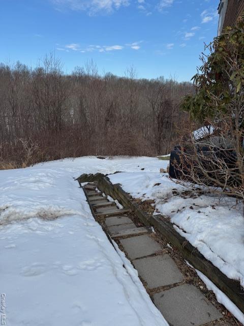 Single Family Boorman  Orange County, NY 10940, MLS-955621-44