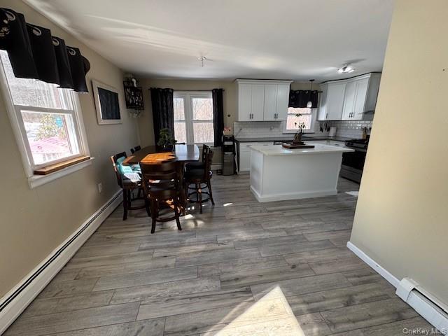 Single Family Boorman  Orange County, NY 10940, MLS-955621-7