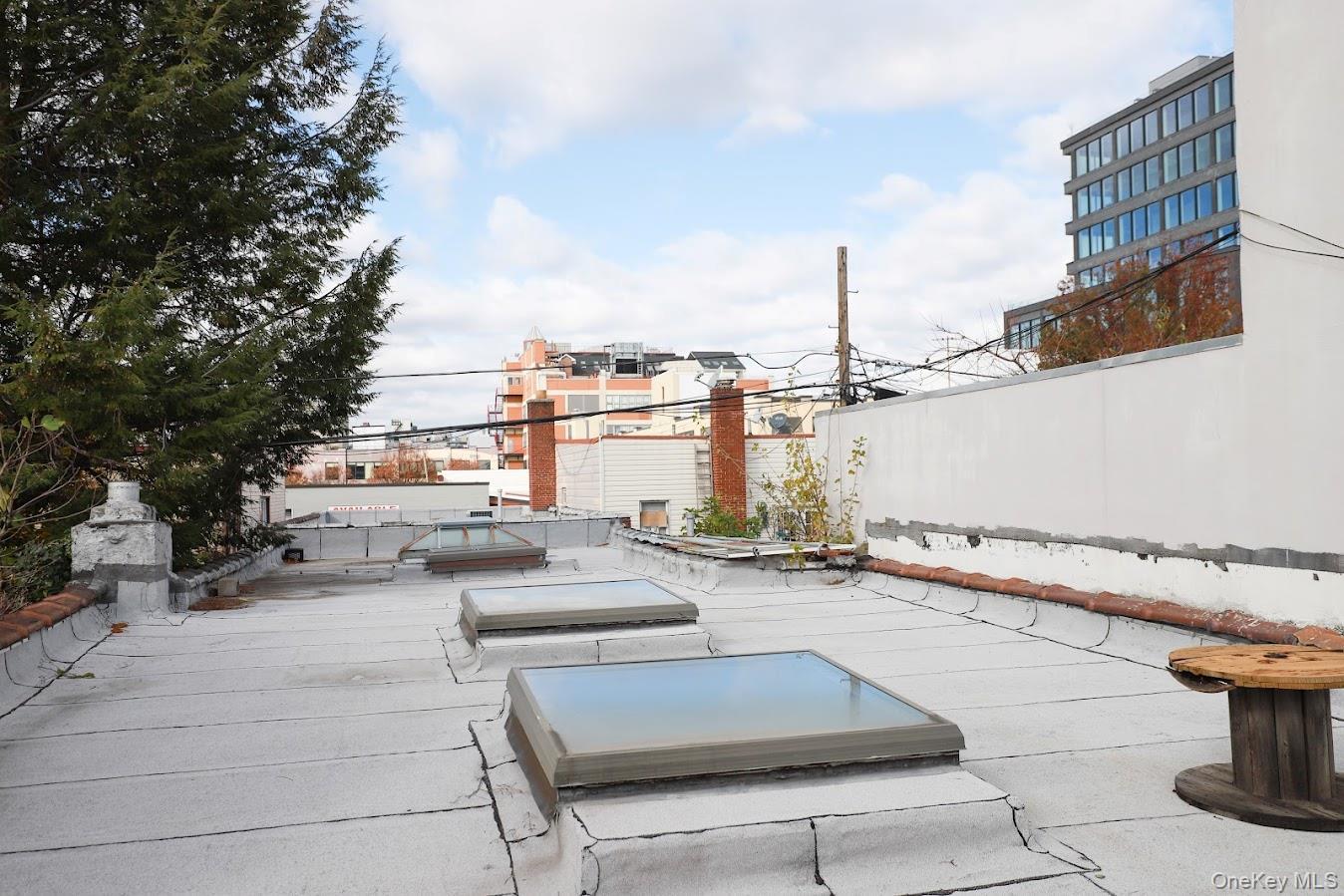 Commercial Lease 37th  Queens, NY 11106, MLS-955658-2