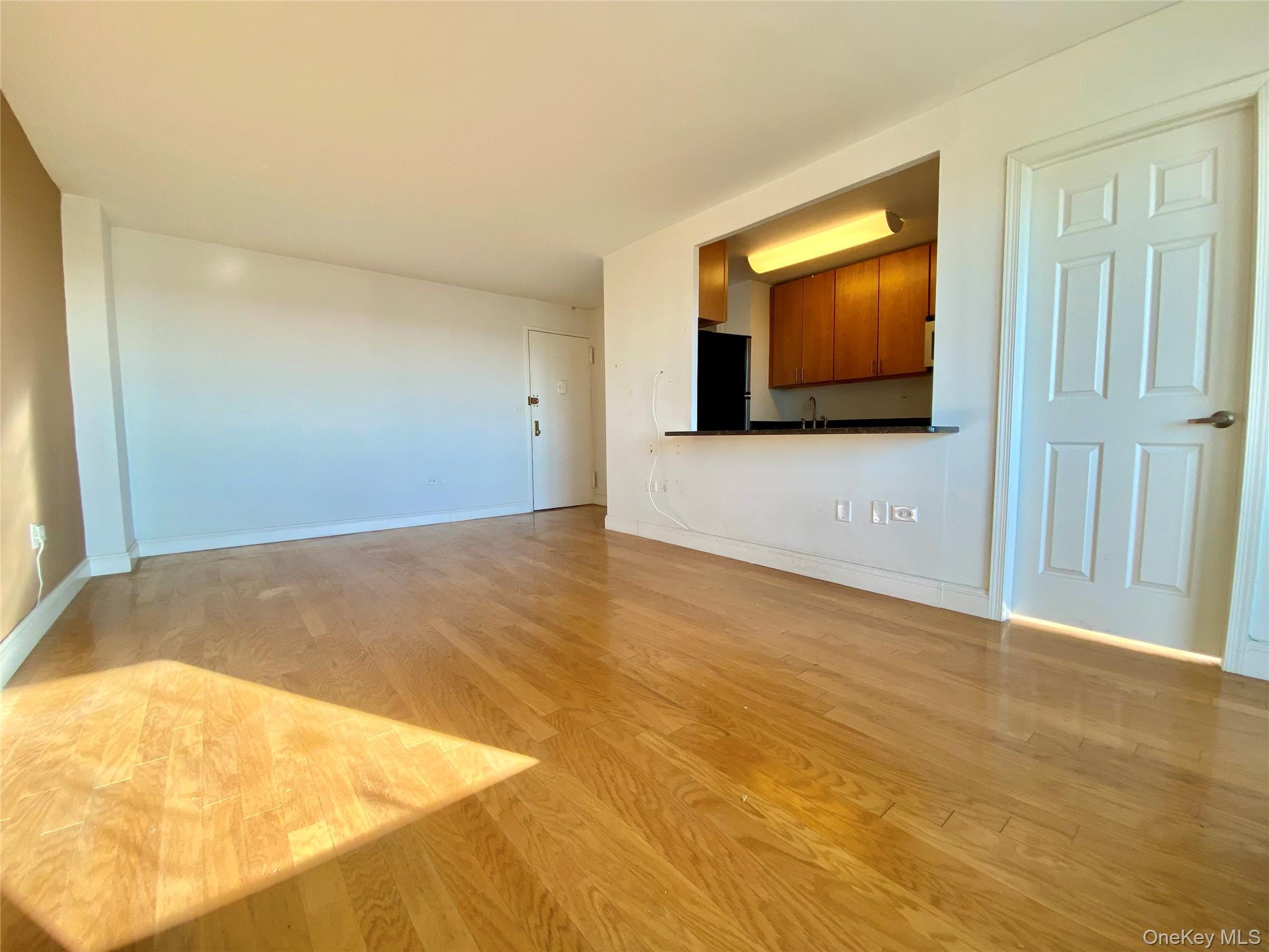 Condo Cozine Avenue Brooklyn, NY 11207, MLS-955677-7