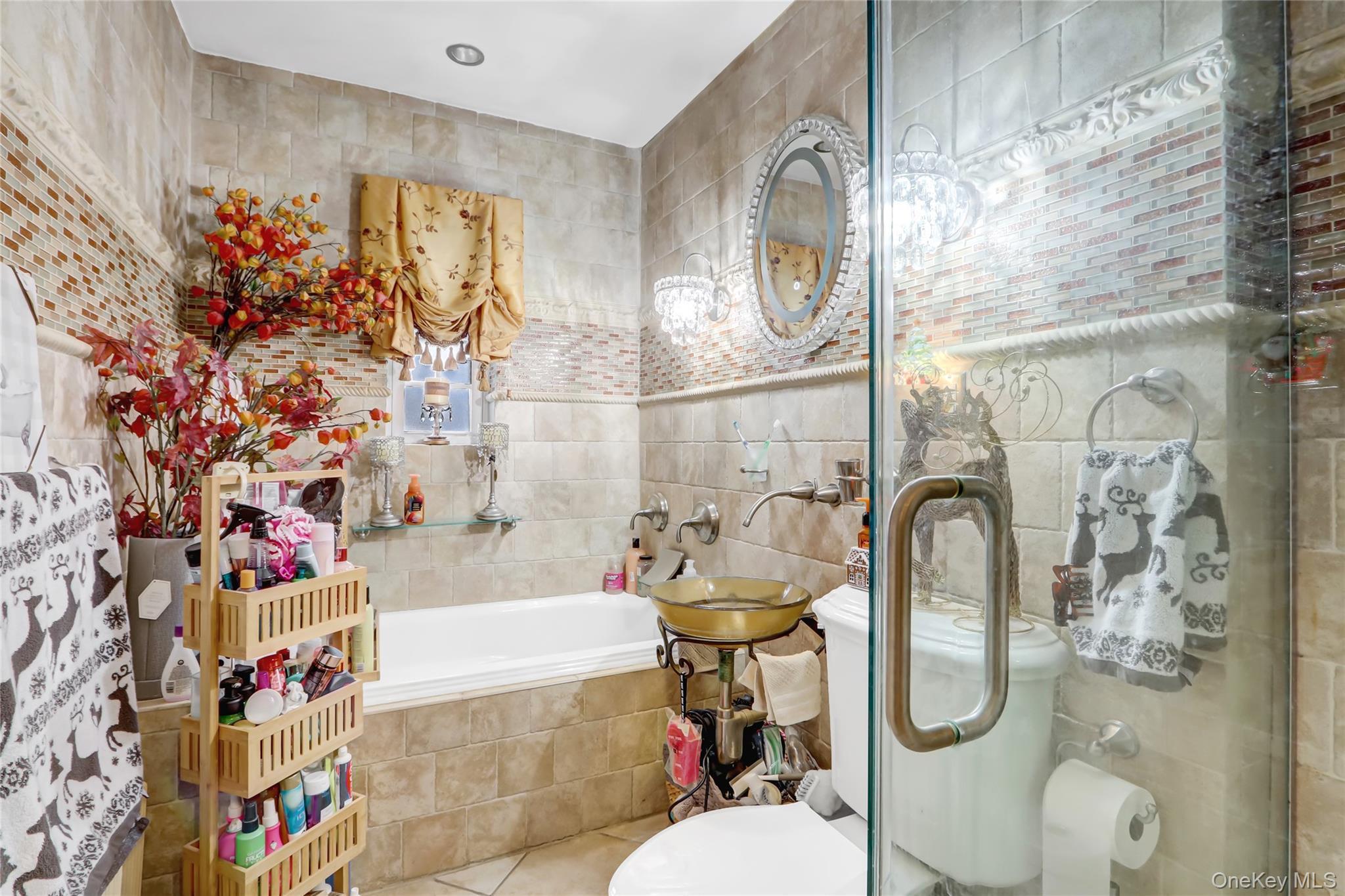 Single Family 77th Queens, NY 11379, MLS-955686-8