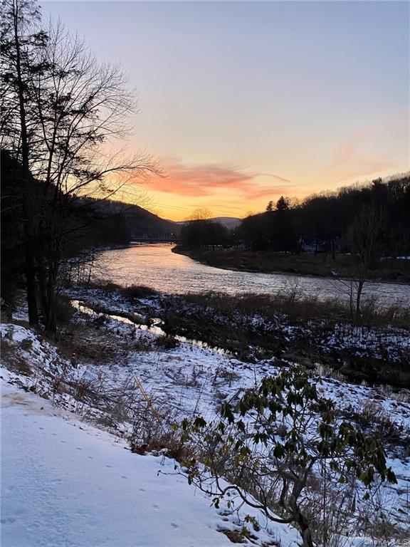 Single Family Peas Eddy  Delaware County, NY 13783, MLS-955728-3