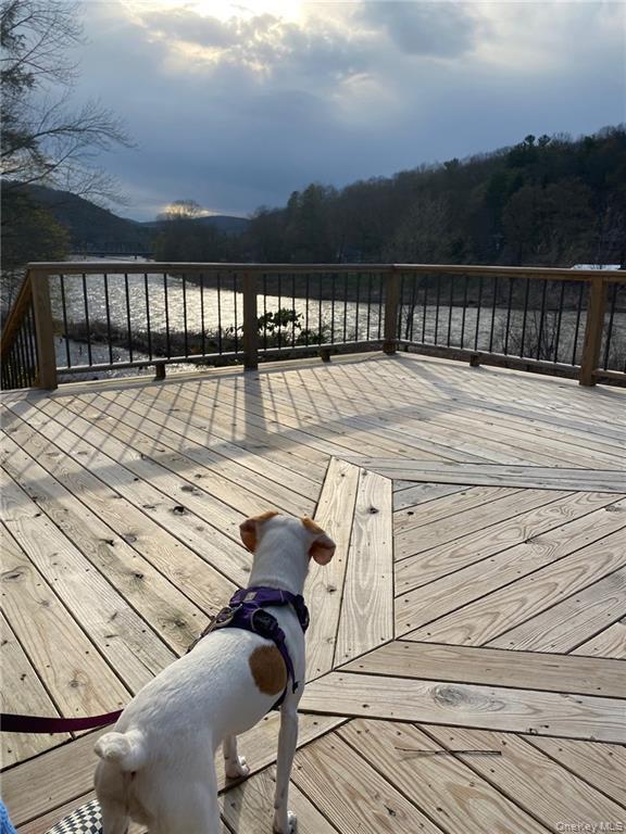 Single Family Peas Eddy  Delaware County, NY 13783, MLS-955728-5