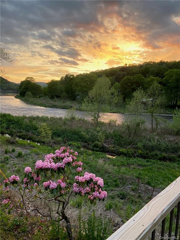 Single Family Peas Eddy  Delaware County, NY 13783, MLS-955728-6