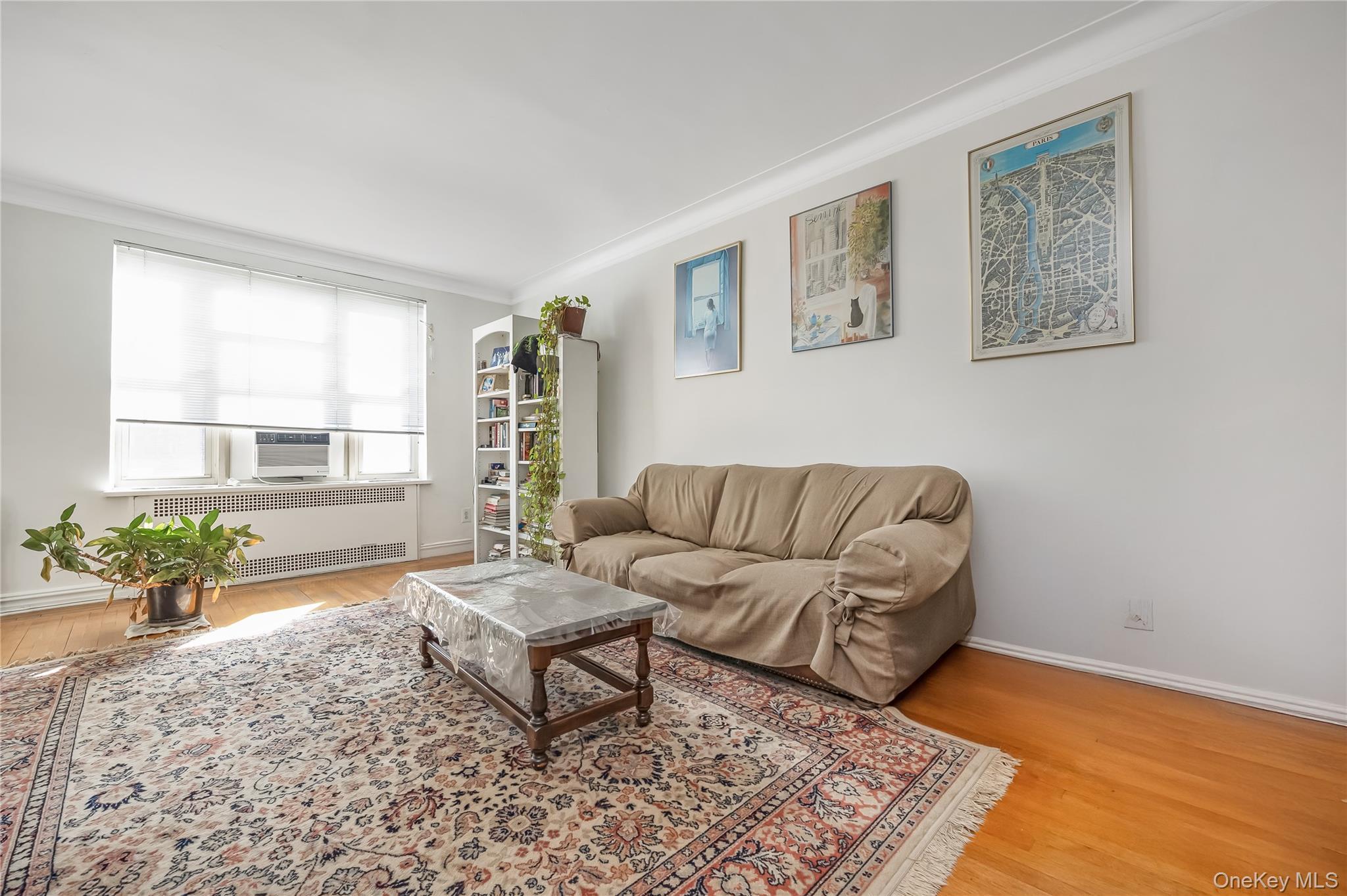 Coop 108  Queens, NY 11375, MLS-955874-8