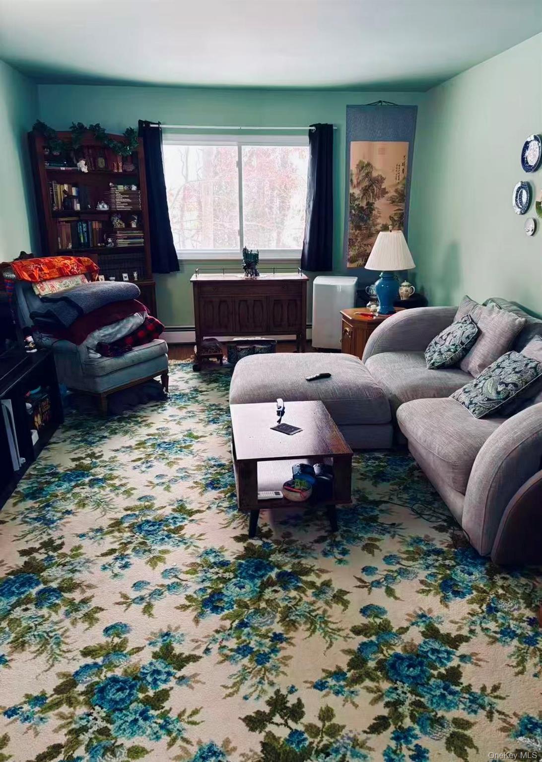 Single Family Ave J  Suffolk County, NY 11779, MLS-955903-3