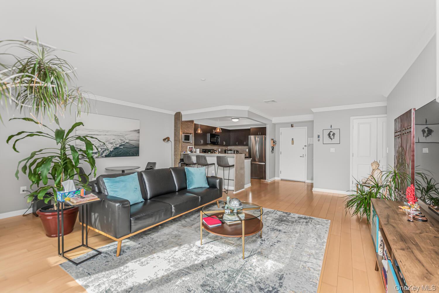 Condo Outlook  Bronx, NY 10465, MLS-955911-3