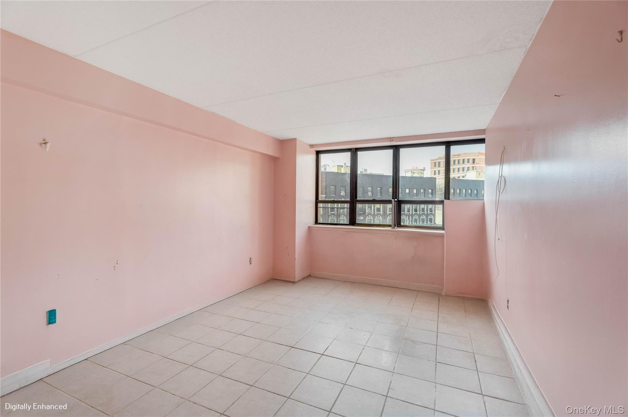 Condo Cathedral  Manhattan, NY 10026, MLS-955924-5