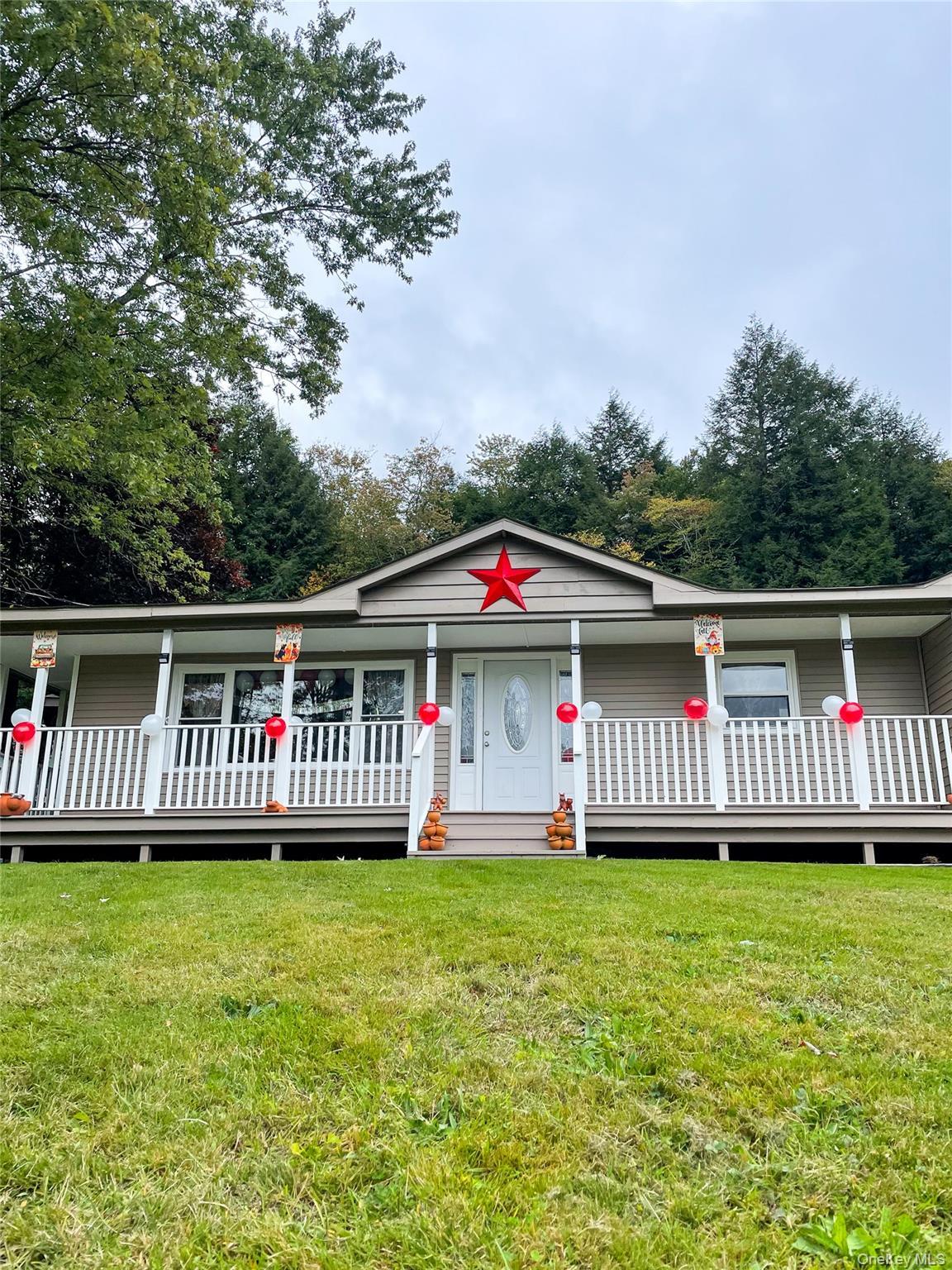 Single Family John Gray  Sullivan County, NY 12758, MLS-955945-2