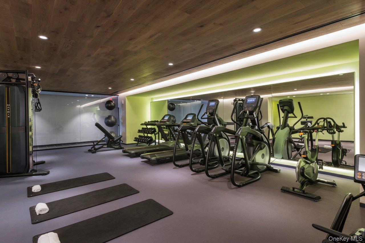 Condo 37th  Queens, NY 11354, MLS-955969-17