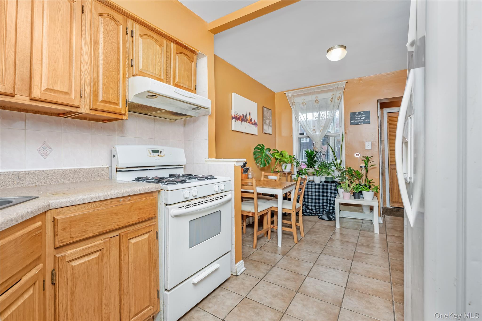 Single Family 86th  Brooklyn, NY 11236, MLS-955983-4