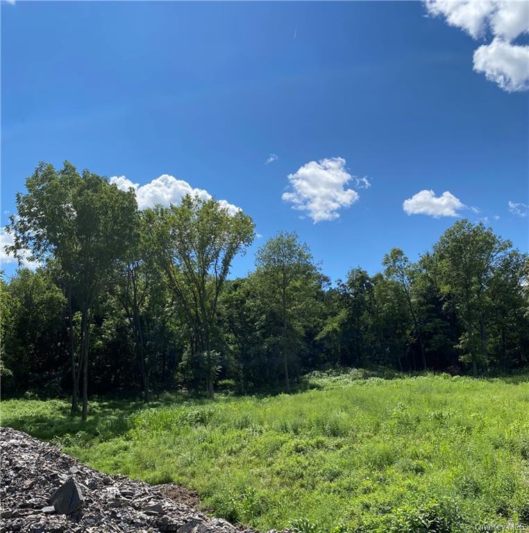Single Family Shadow Court Dutchess County, NY 12590, MLS-955993-9