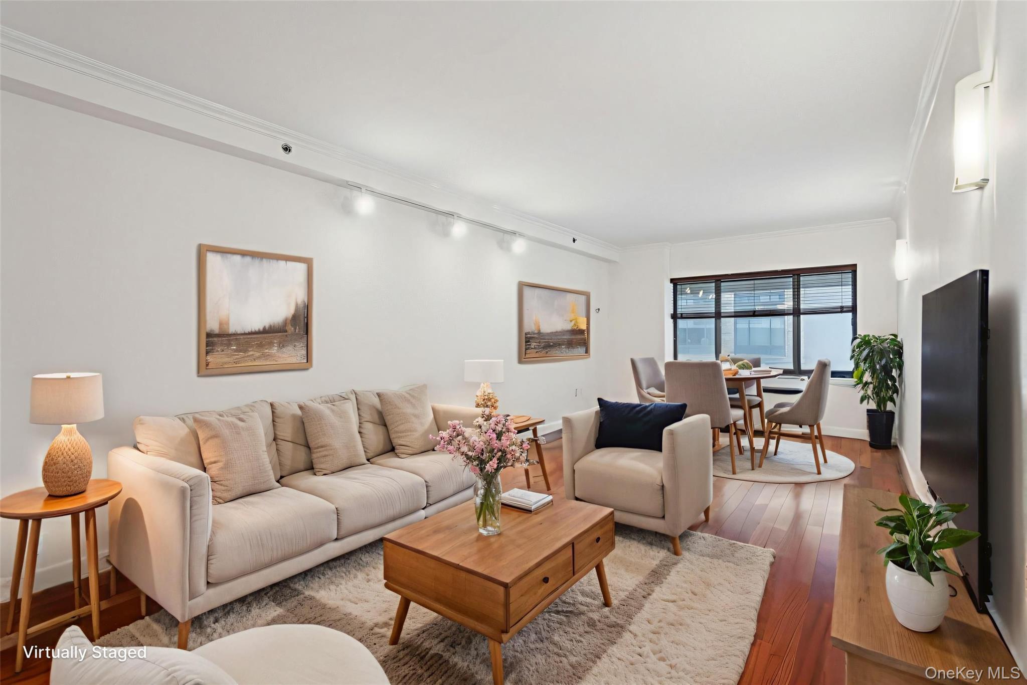 Condo City Westchester County, NY 10601, MLS-956147-12