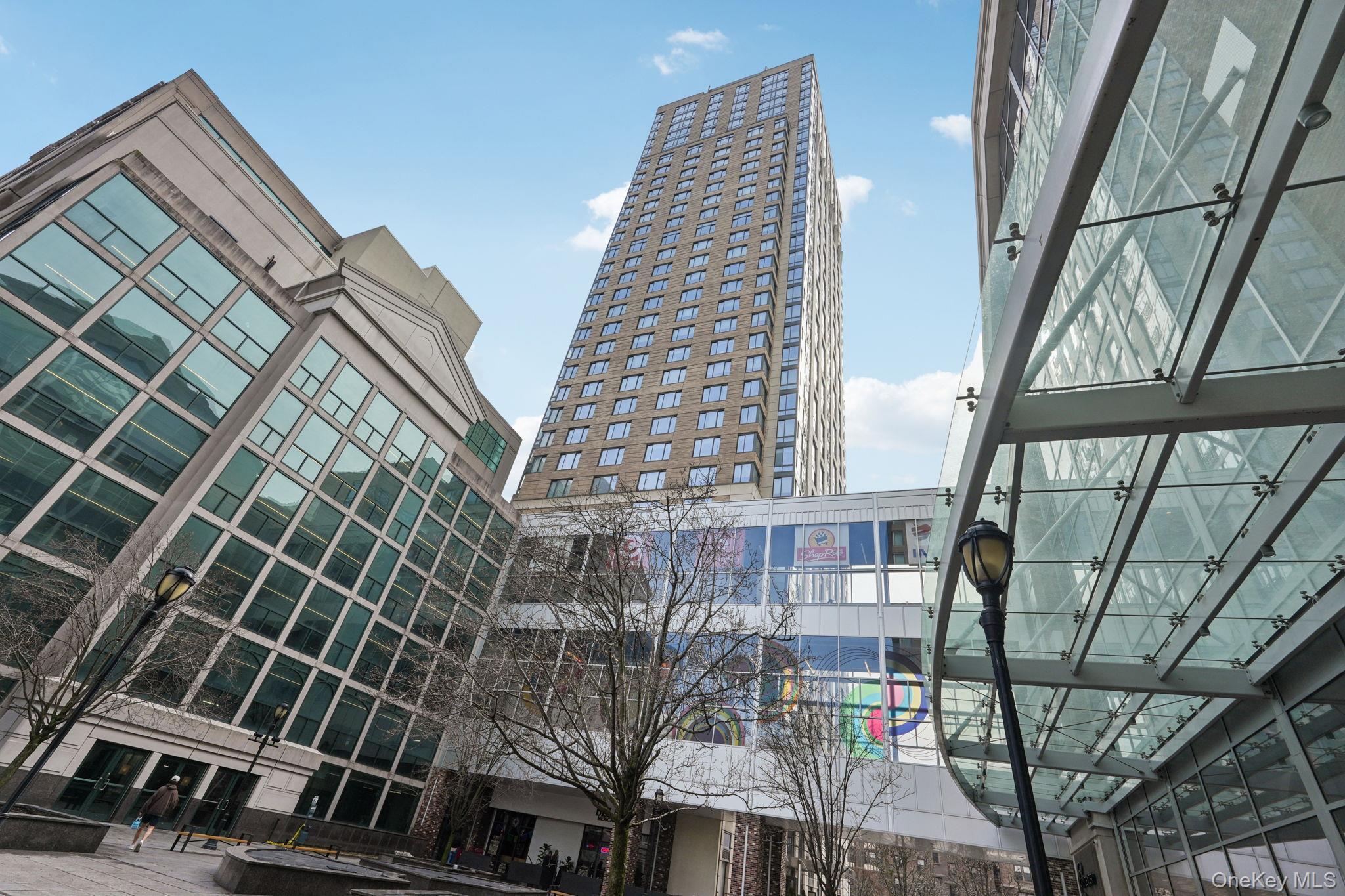 Condo City Westchester County, NY 10601, MLS-956147-4