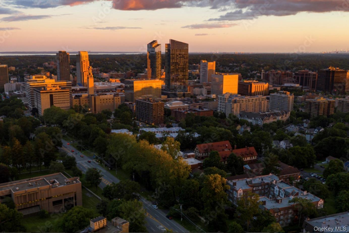 Condo City  Westchester County, NY 10601, MLS-956147-40