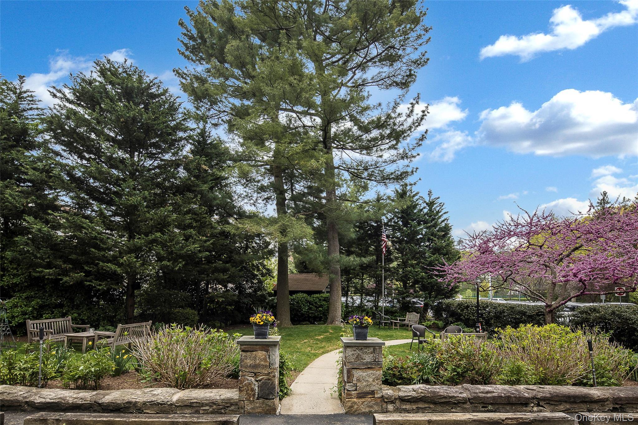 Coop Tanglewylde  Westchester County, NY 10708, MLS-956171-24