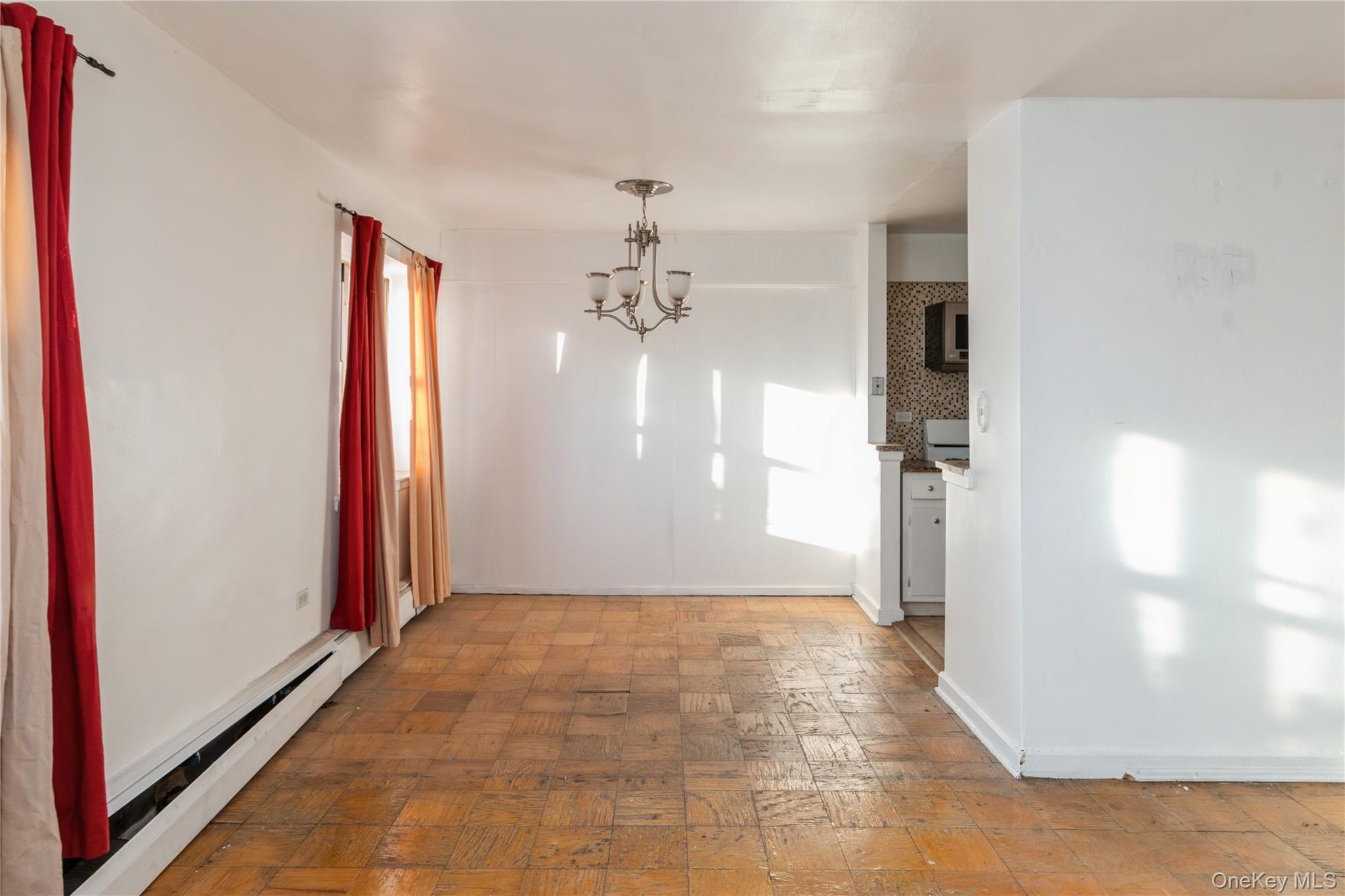 Coop 60  Queens, NY 11368, MLS-956264-13