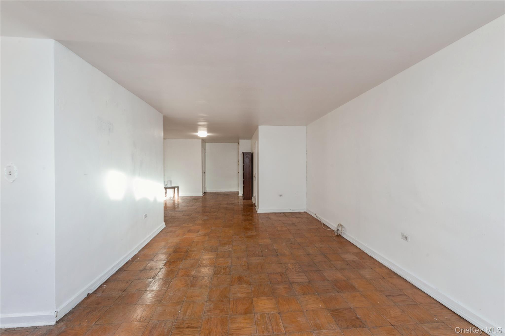 Coop 60  Queens, NY 11368, MLS-956264-4