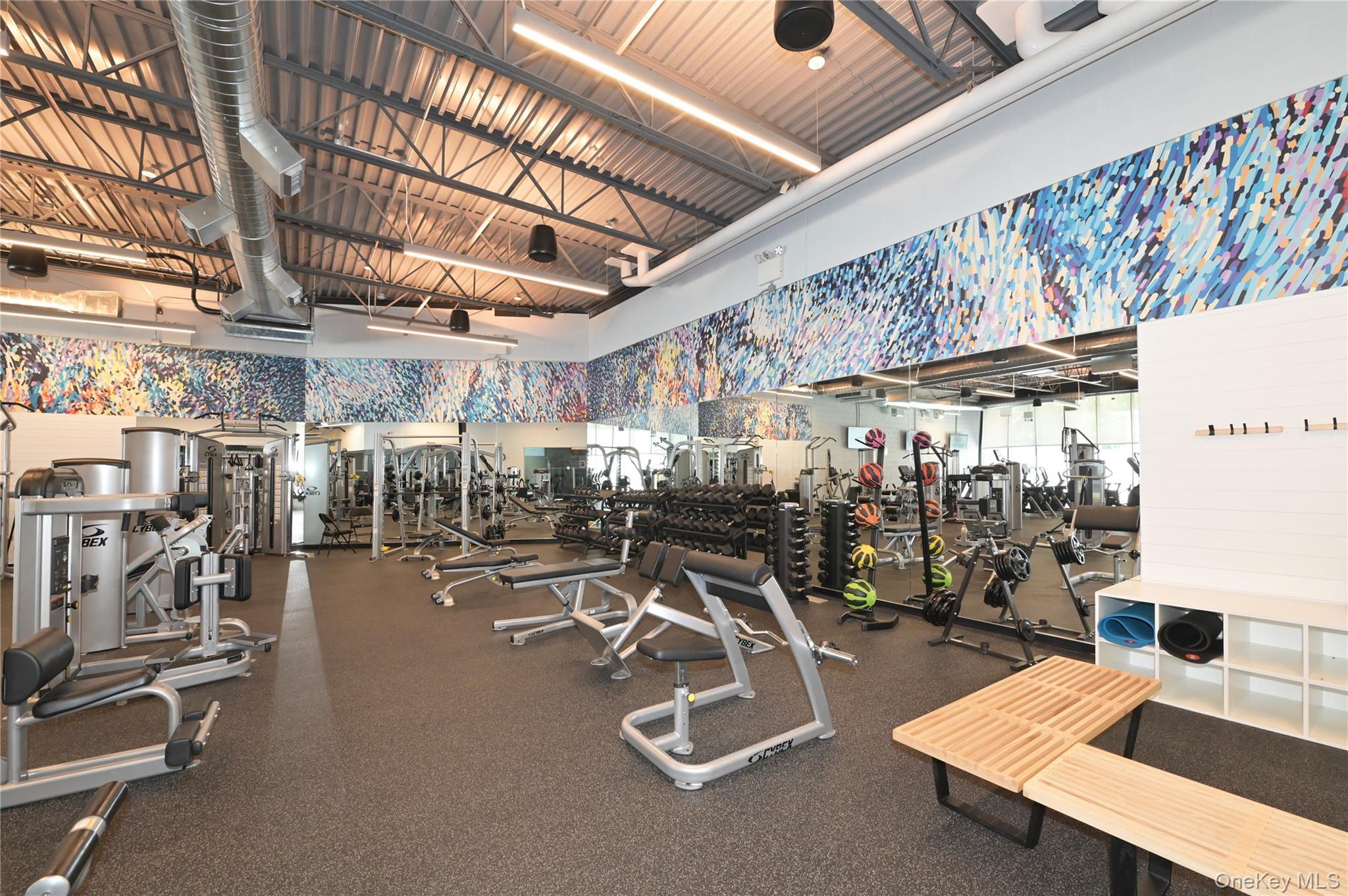 Coop 75th  Queens, NY 11364, MLS-956330-14