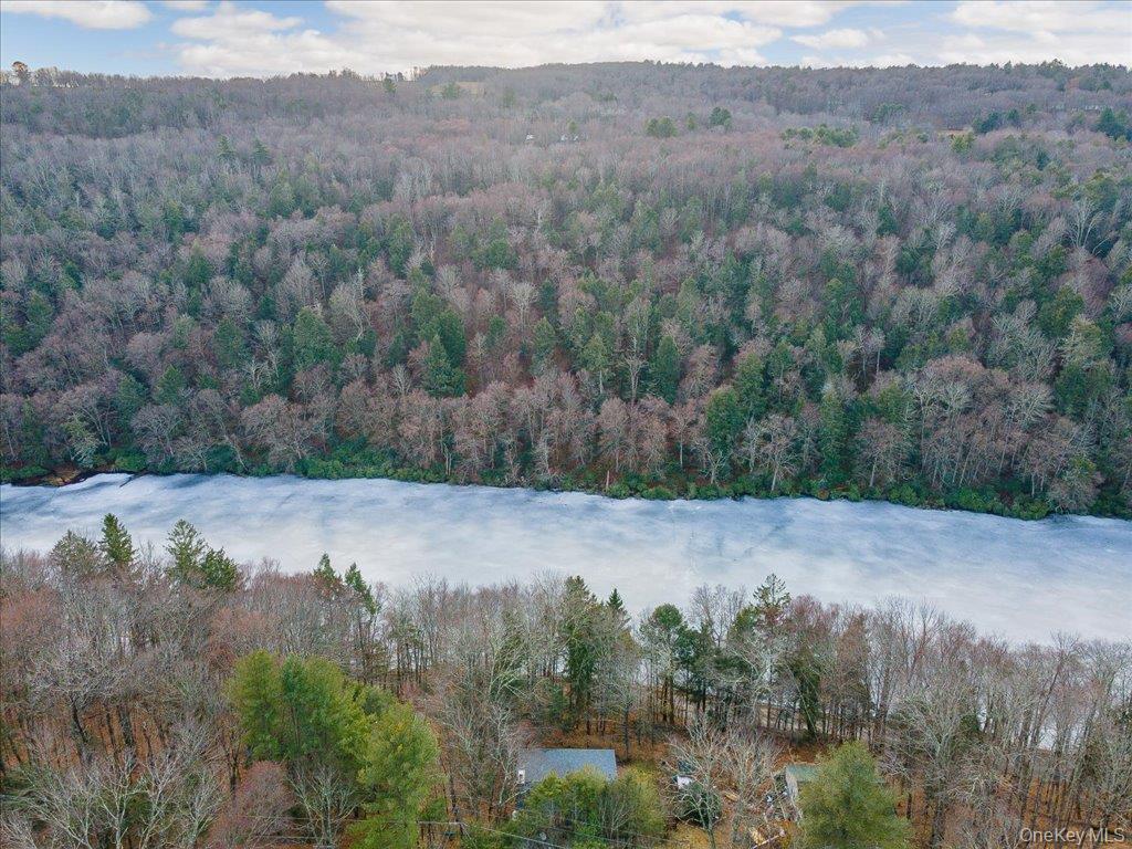 Single Family Overlook  Sullivan County, NY 12788, MLS-956385-36