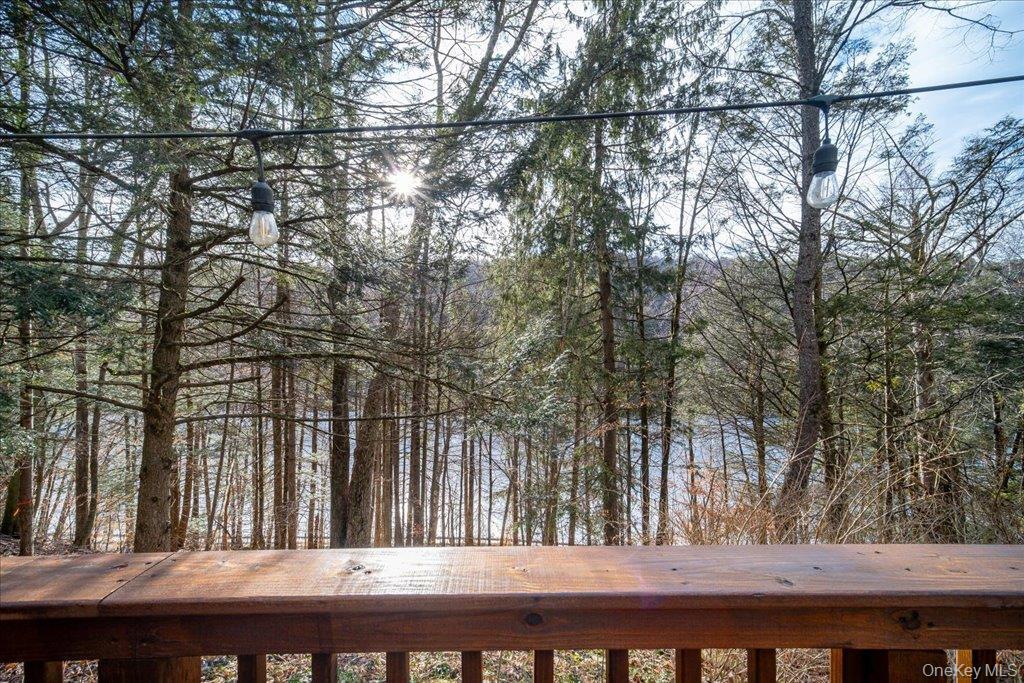 Single Family Overlook  Sullivan County, NY 12788, MLS-956385-7