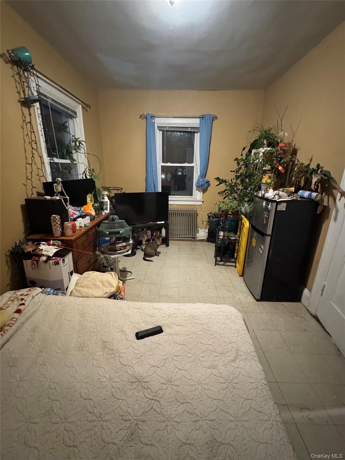 Single Family Edson  Bronx, NY 10466, MLS-956425-16