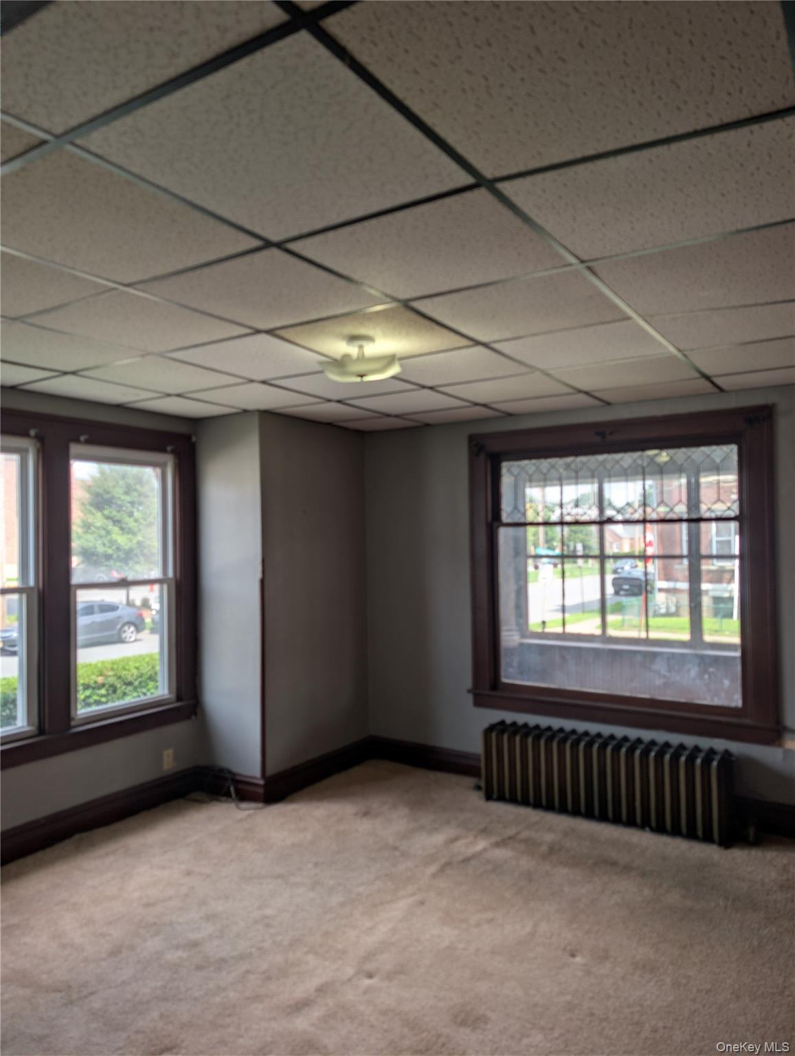 Single Family Courtney Avenue Orange County, NY 12550, MLS-956436-11