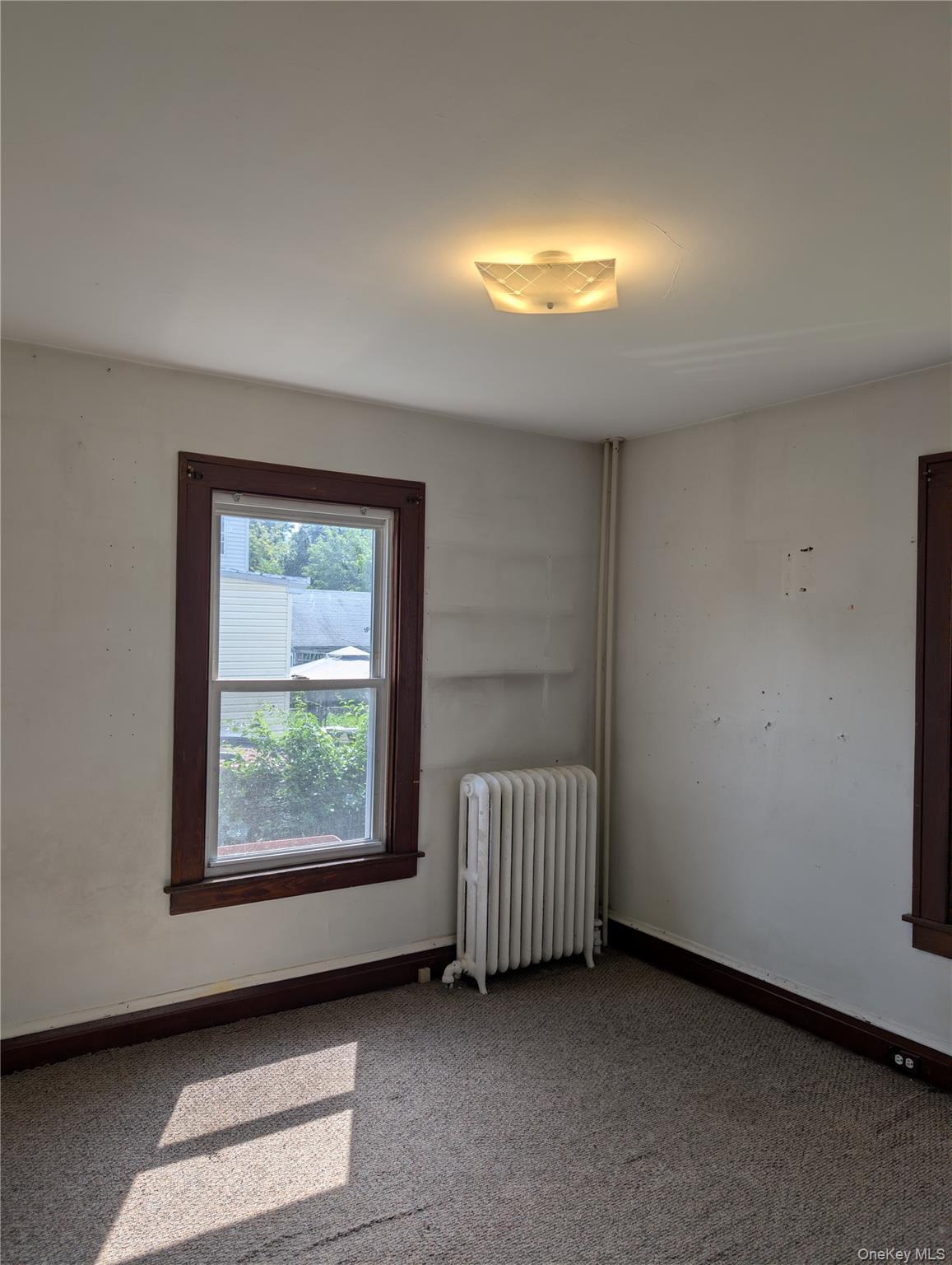Single Family Courtney Avenue Orange County, NY 12550, MLS-956436-8