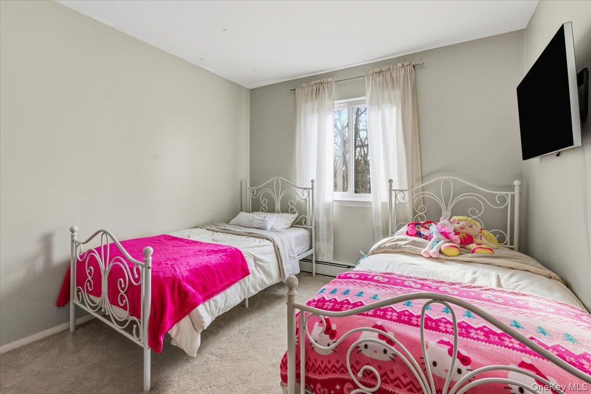 Condo James  Westchester County, NY 10566, MLS-956500-10